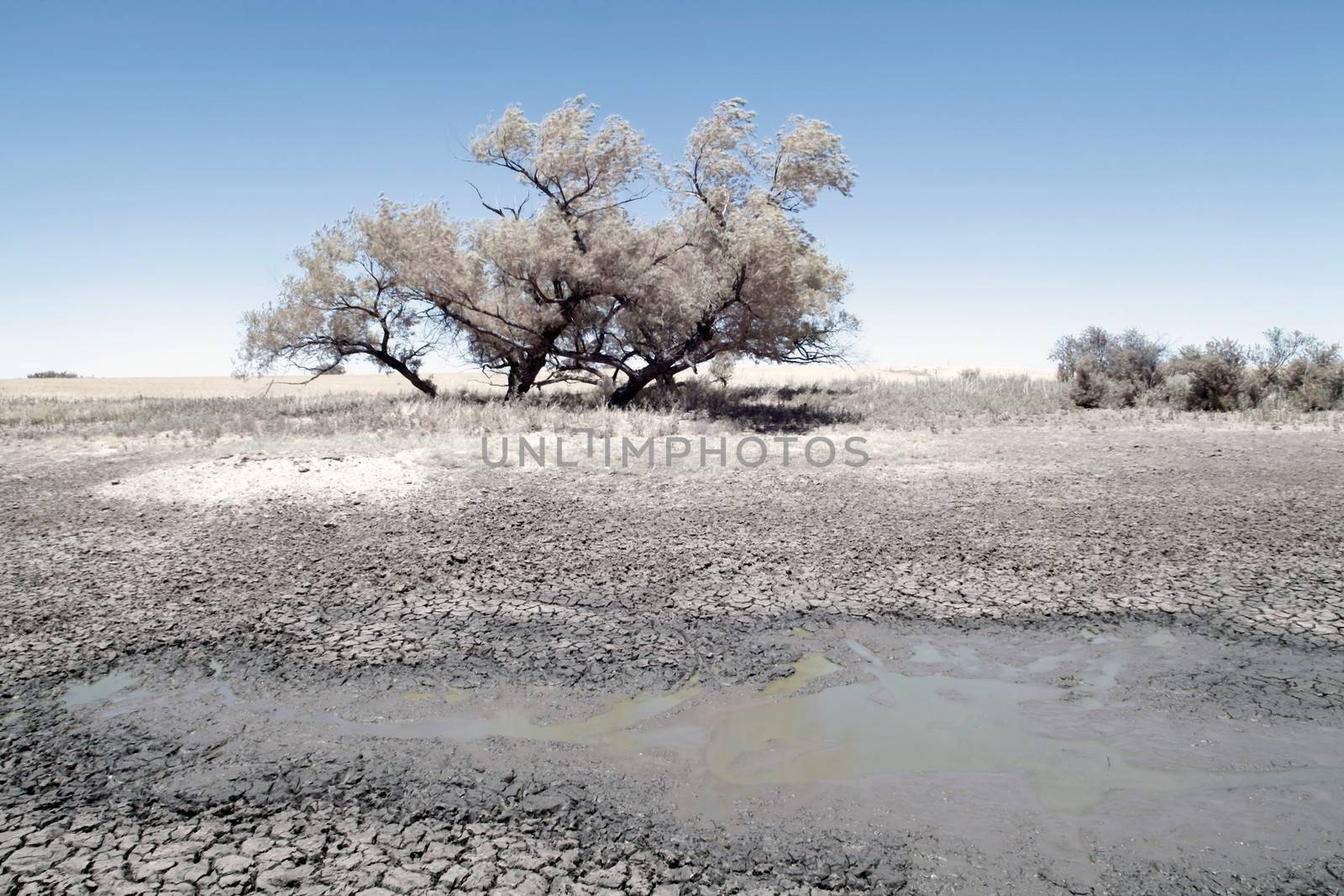A Picture of the dry prairie, record dry in TX