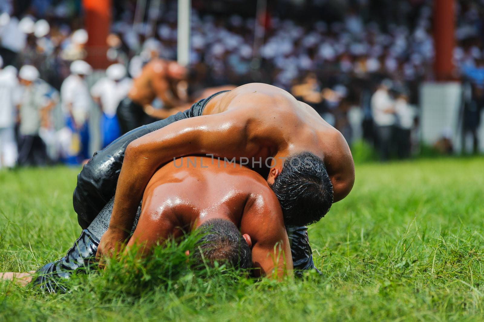 Two wrestlers oil wrestling Turkish yagli g�res in Kirkpinar Edirne  by oguzdkn