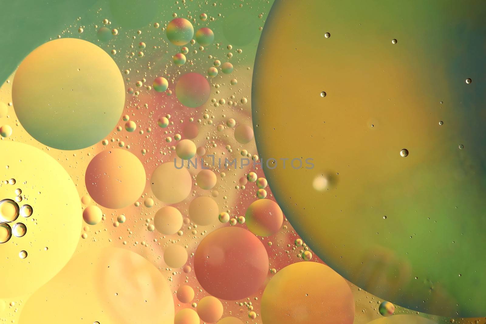 Abstract pattern of colored oil bubles on water