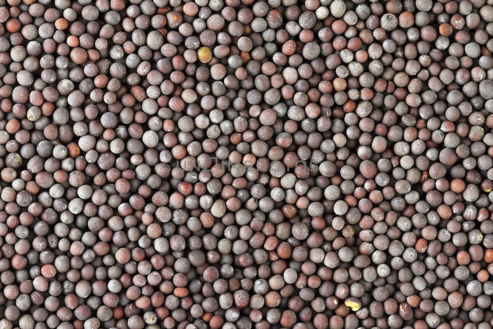 Brown mustard seed food background