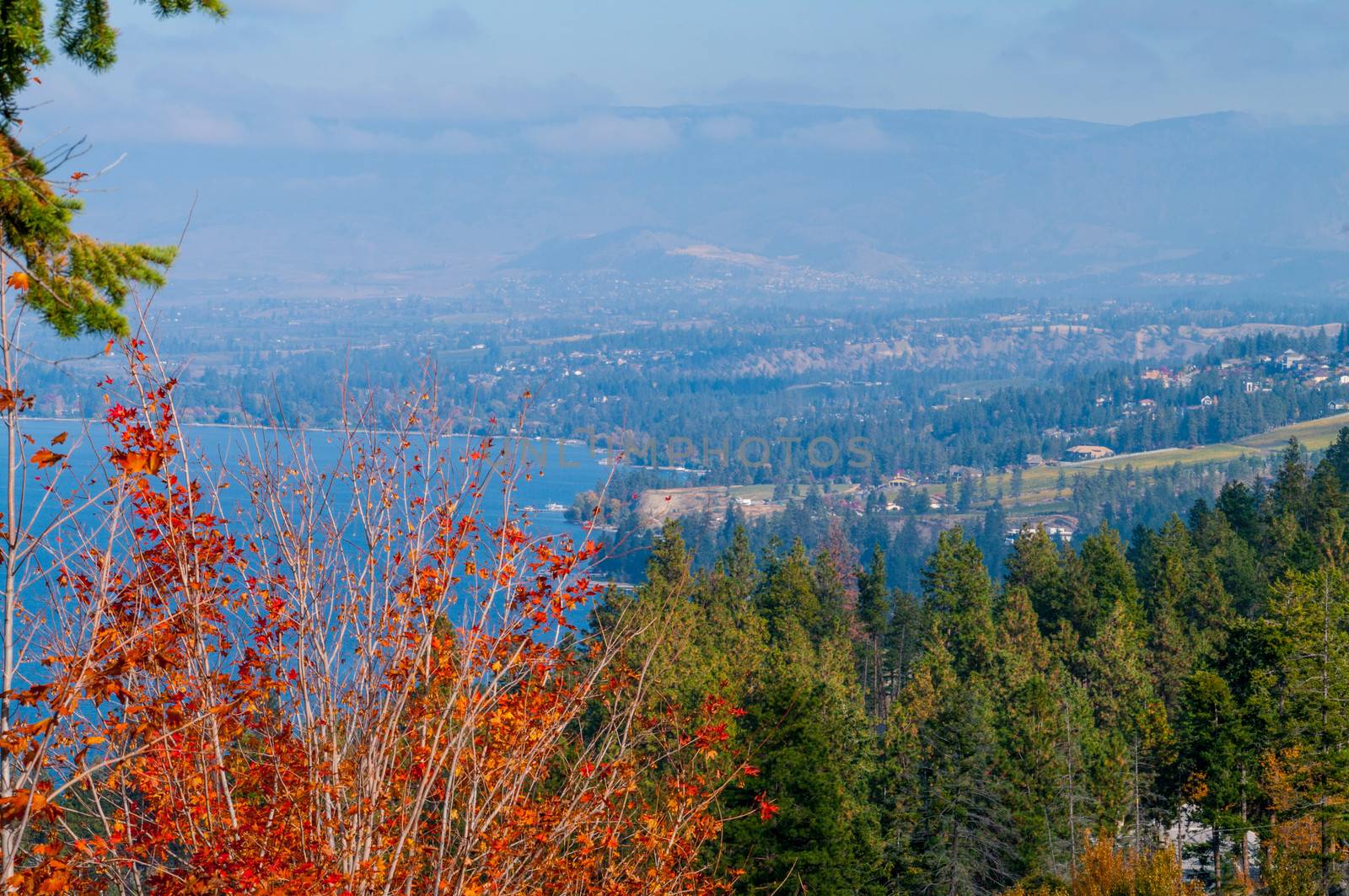 Okanagan Lake and Surrounding hills by edcorey