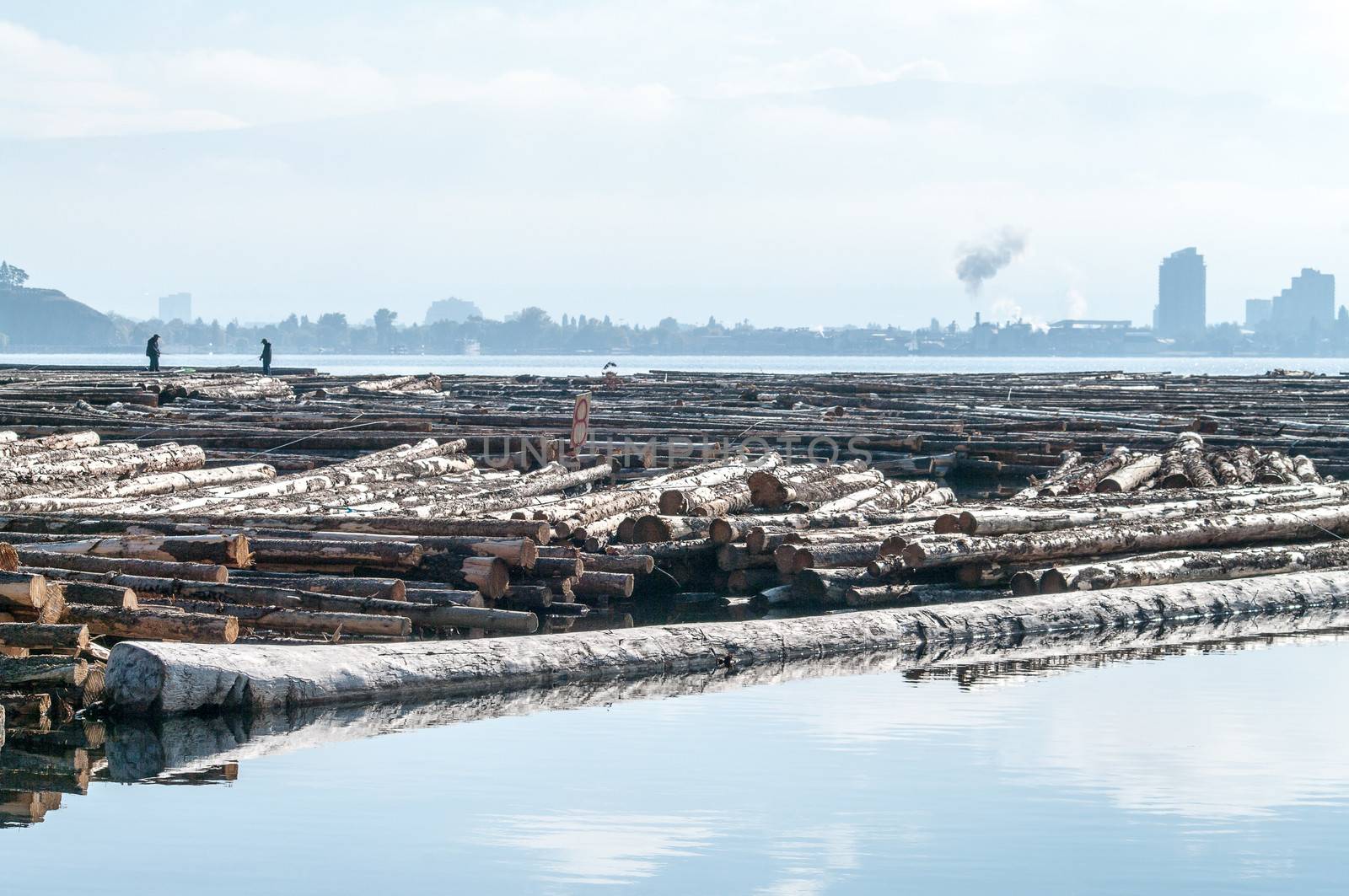 Log boom on Okanagan Lake by edcorey