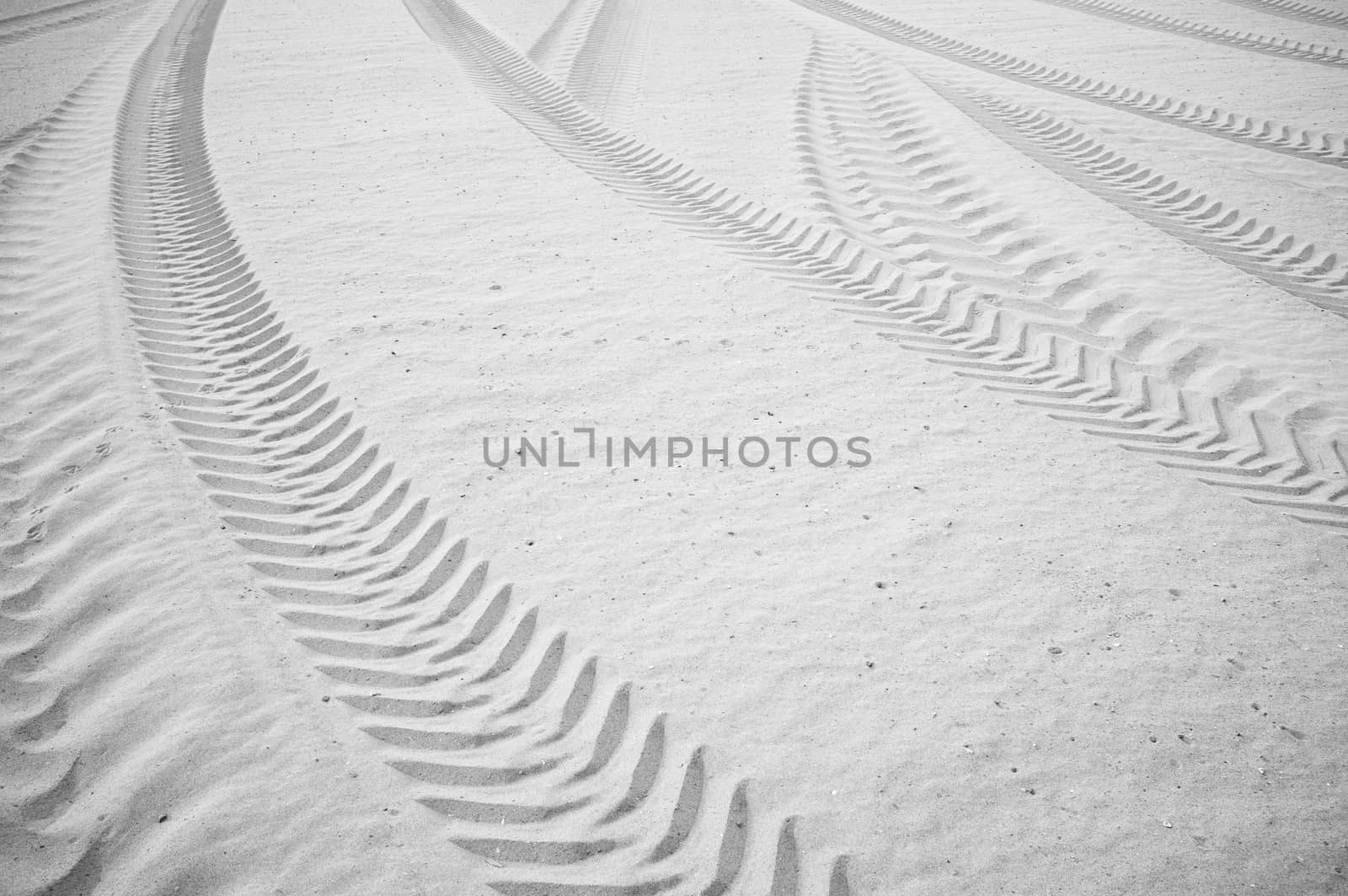 Many curved tyre track printed on  sandy soil