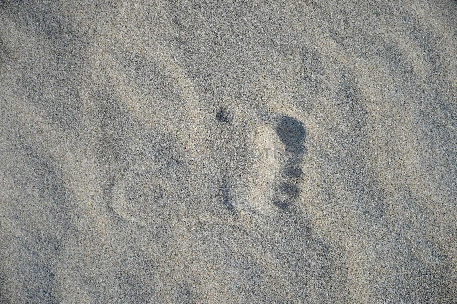 A conceptual beach image with assorted beach items