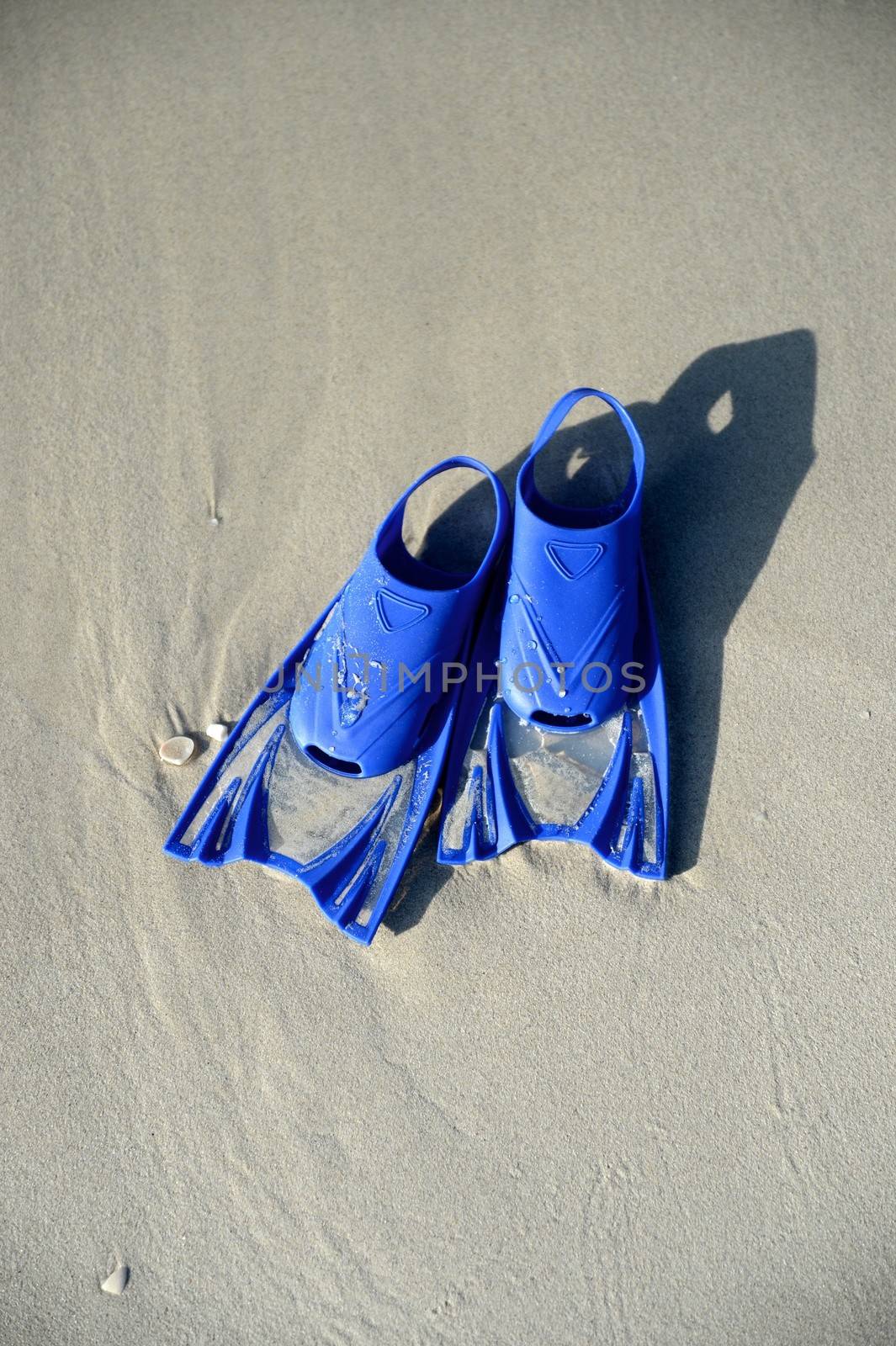 Swimming gear isolated against a white background