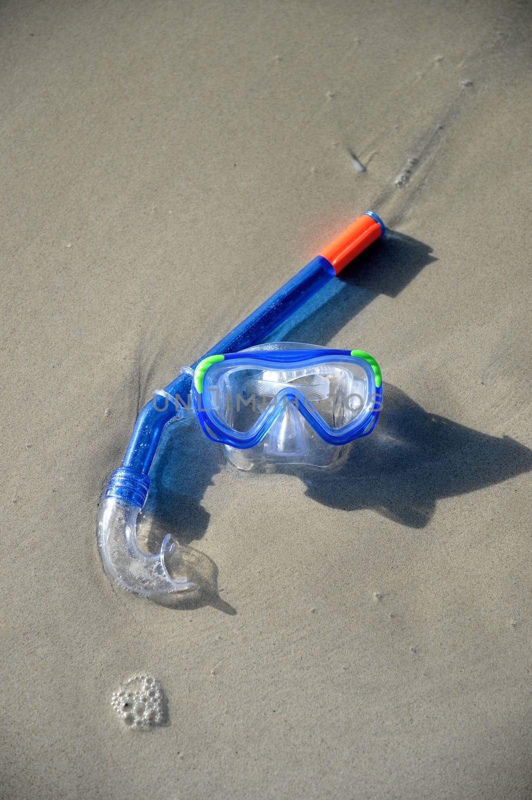 Swimming gear isolated against a white background