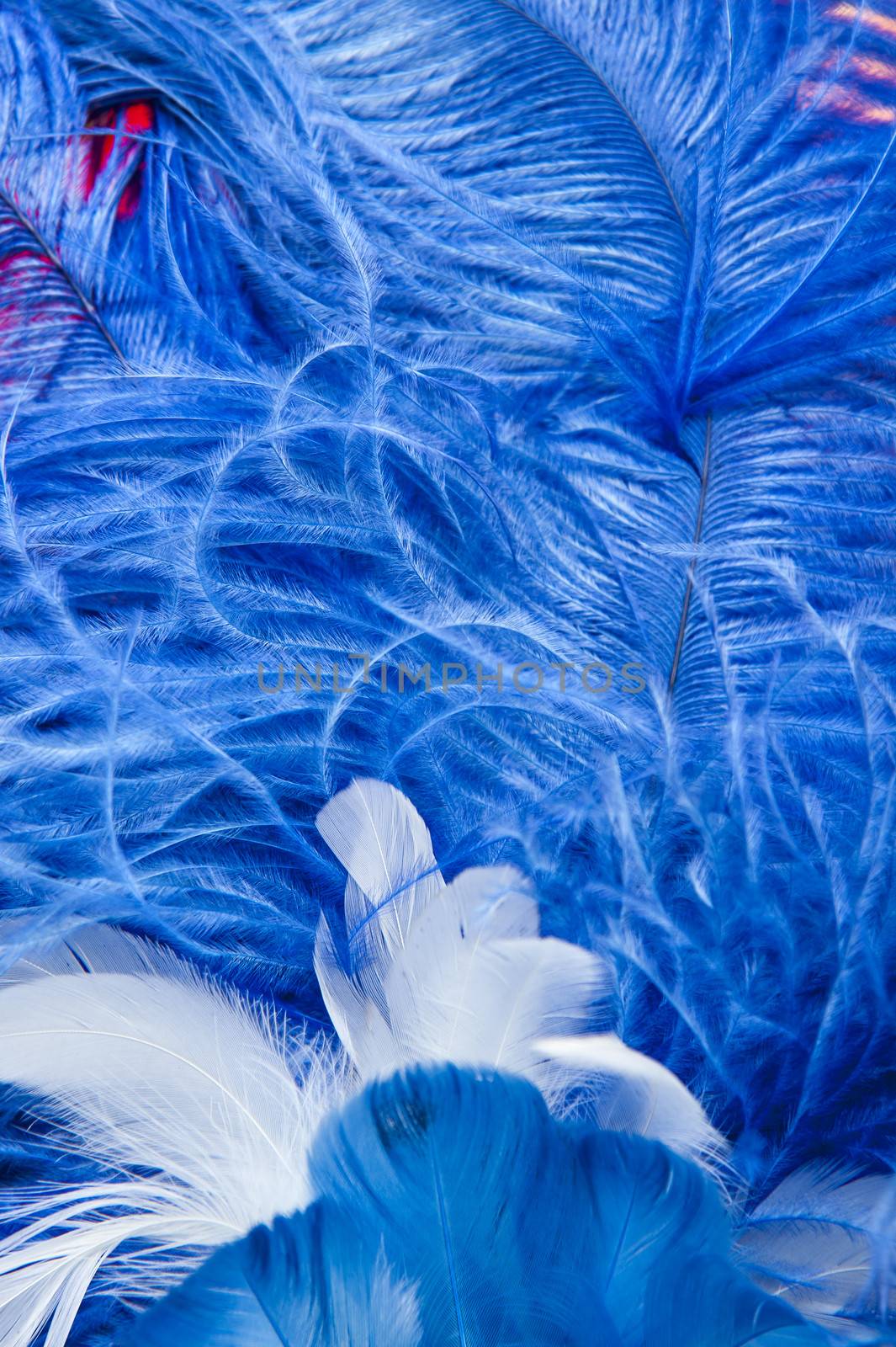 Blue elegant feathers make a texture for your backgrounds