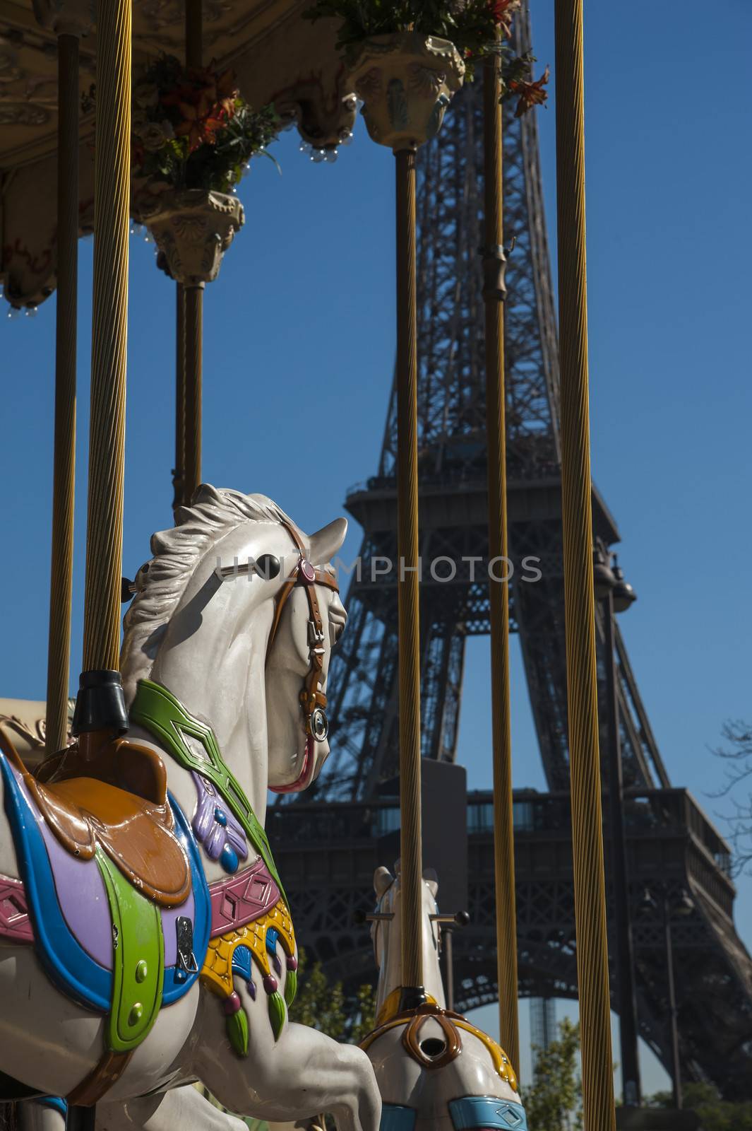 Carousel in Paris by cla78