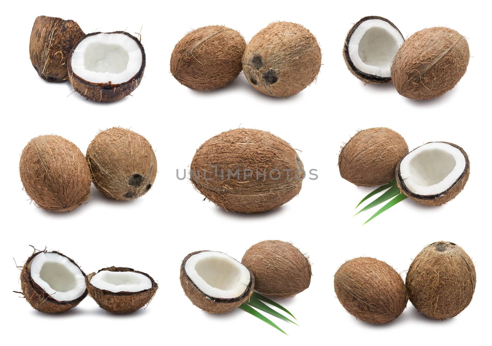 Collection of fresh coconuts isolated on white background