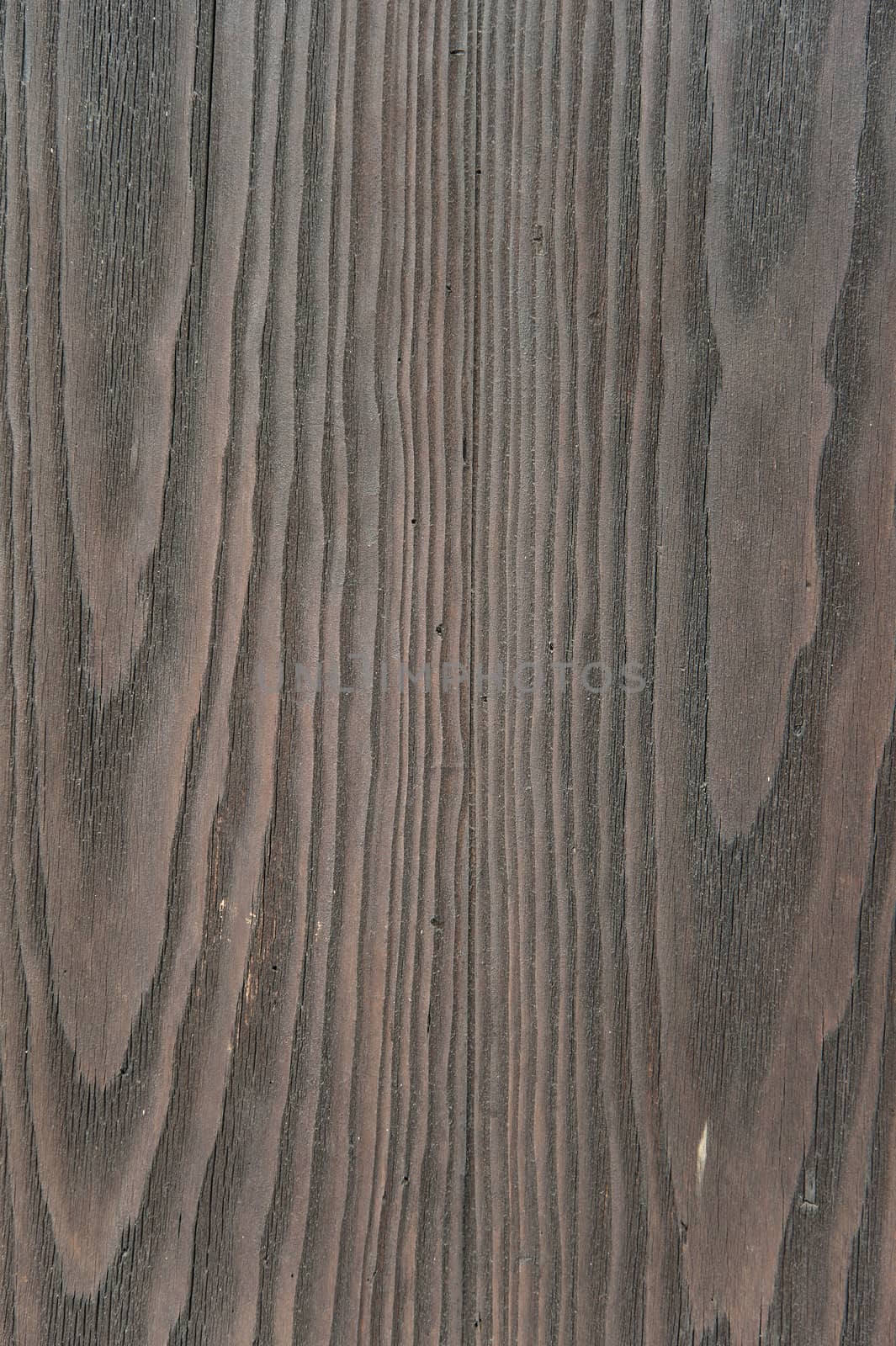 Wooden texture dramatic light, natural pattern