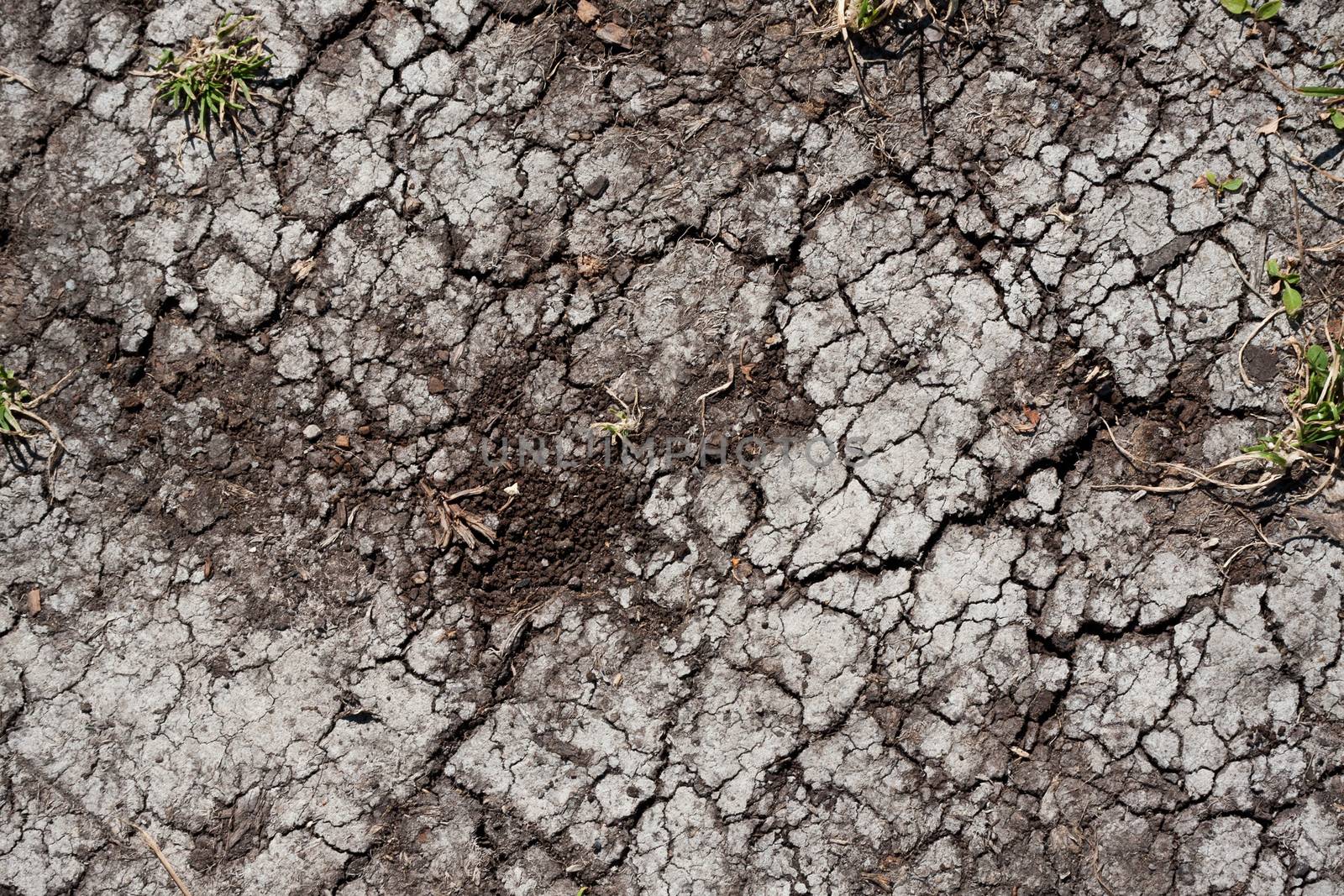 Land with dry cracked ground texture background