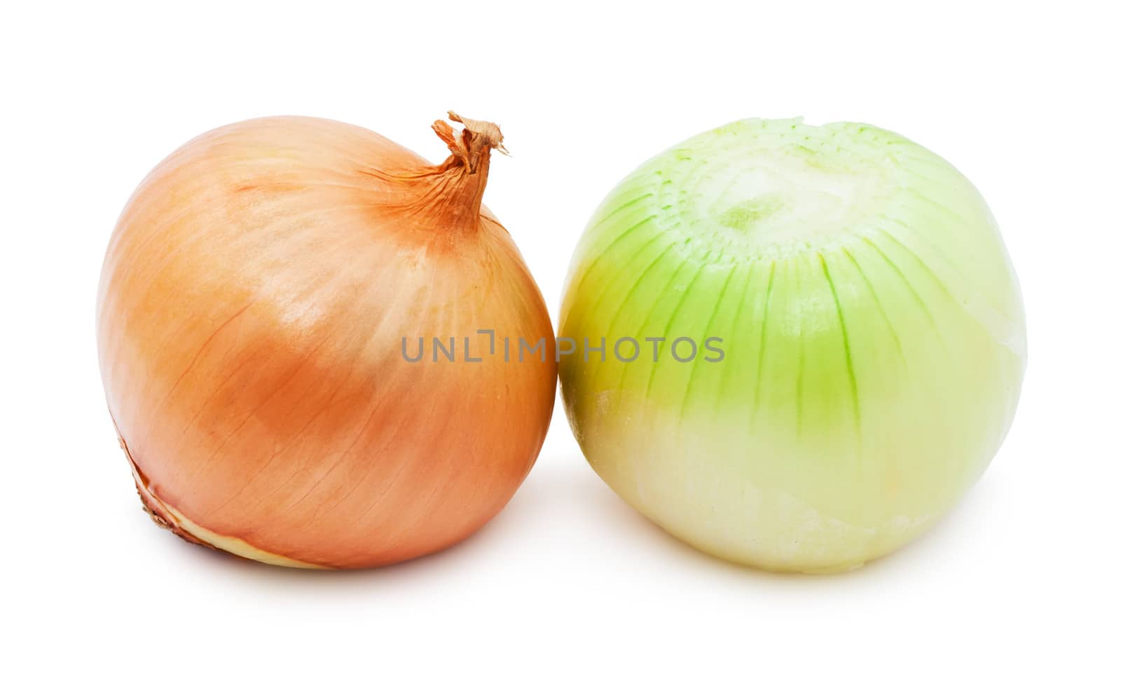 Fresh golden onion isolated on white background