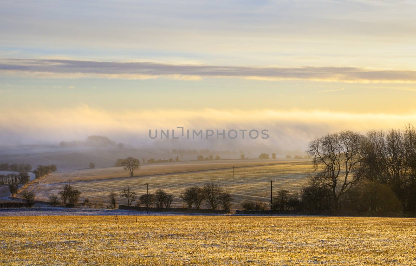 Cold winters morning with the sun shining through the mist over arable farmland, Gloucestershire, England.