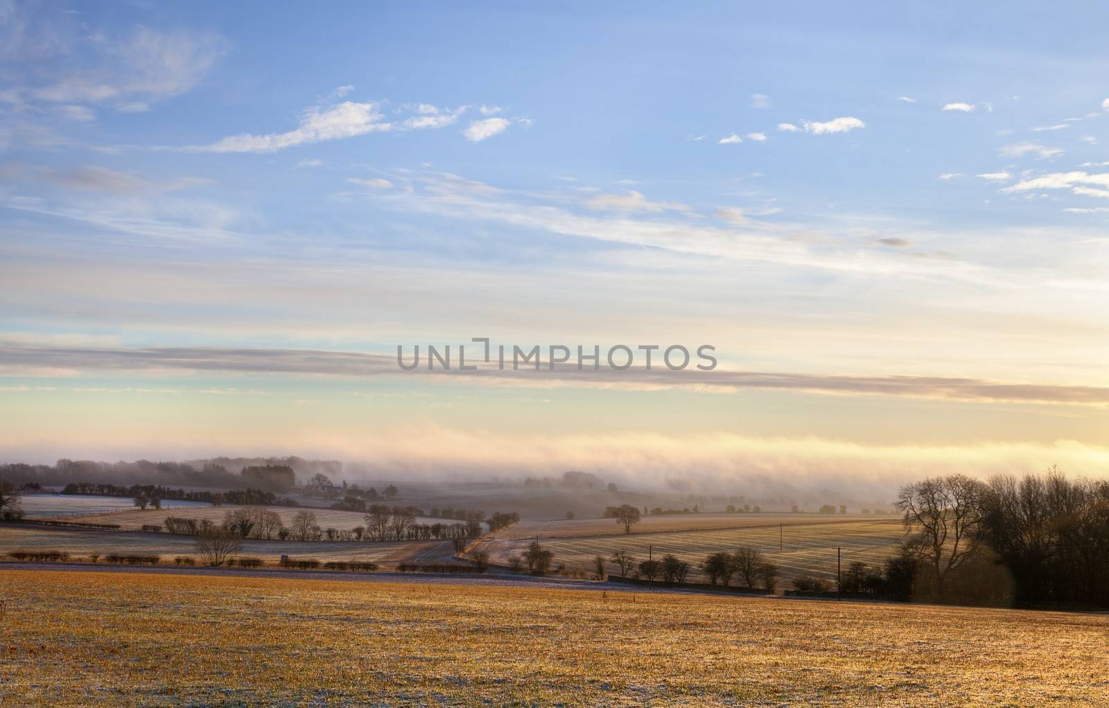 Cold winters morning with the sun shining through the mist over arable farmland, Gloucestershire, England.