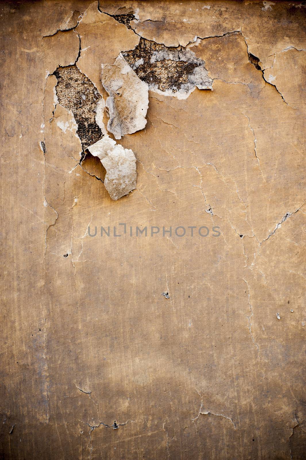 An isolated old grunge paper on a white background