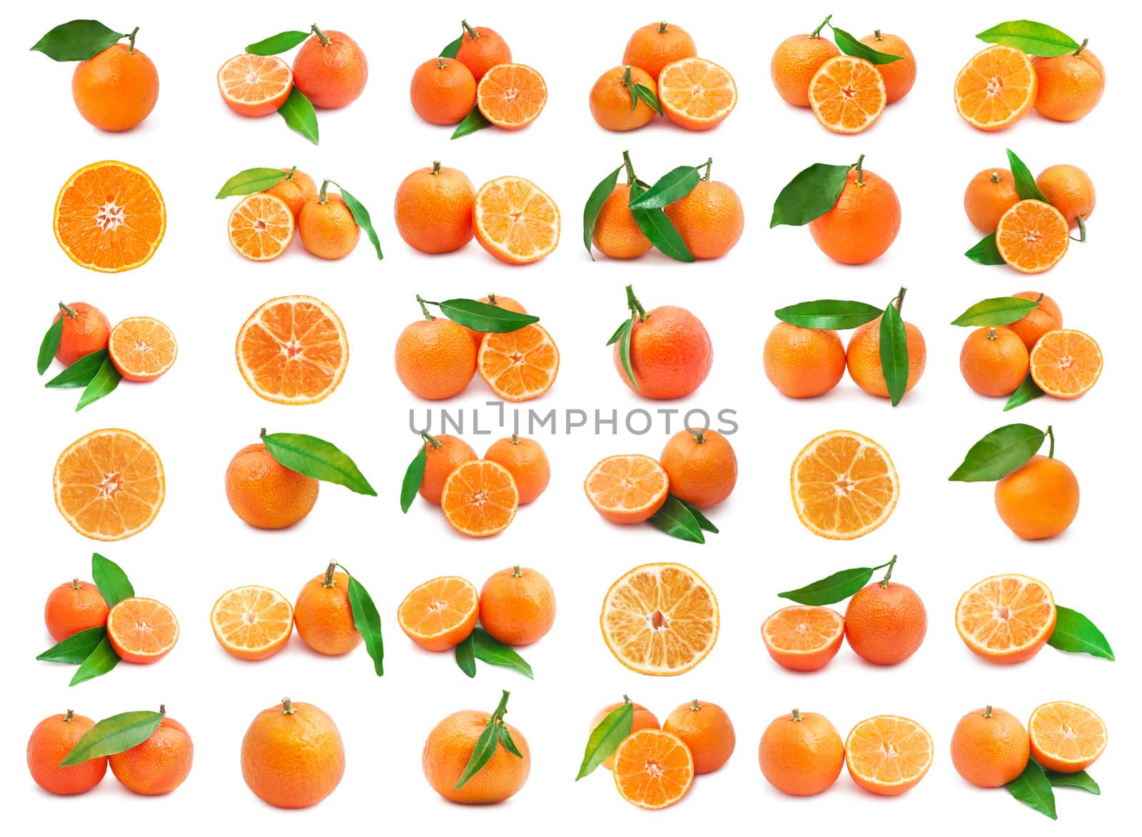 Collection of juicy tangerines or mandarins isolated on white background