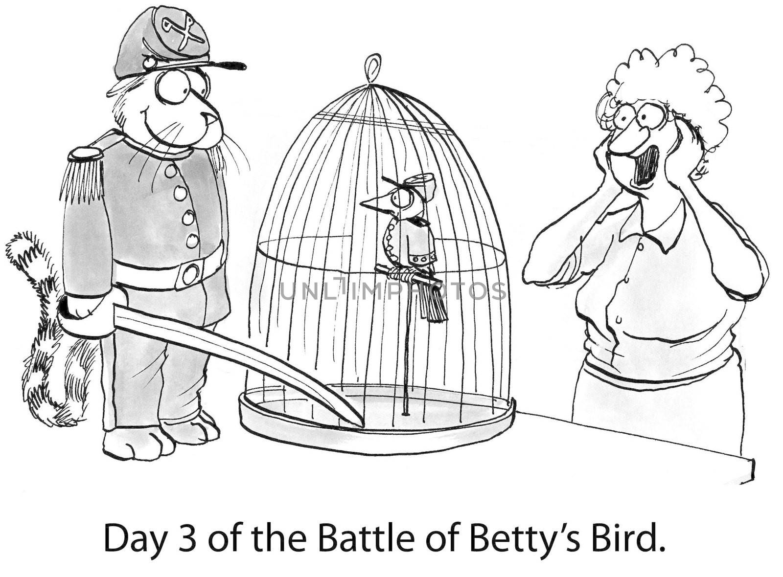 Day 3 of the Battle of Betty's Bird.