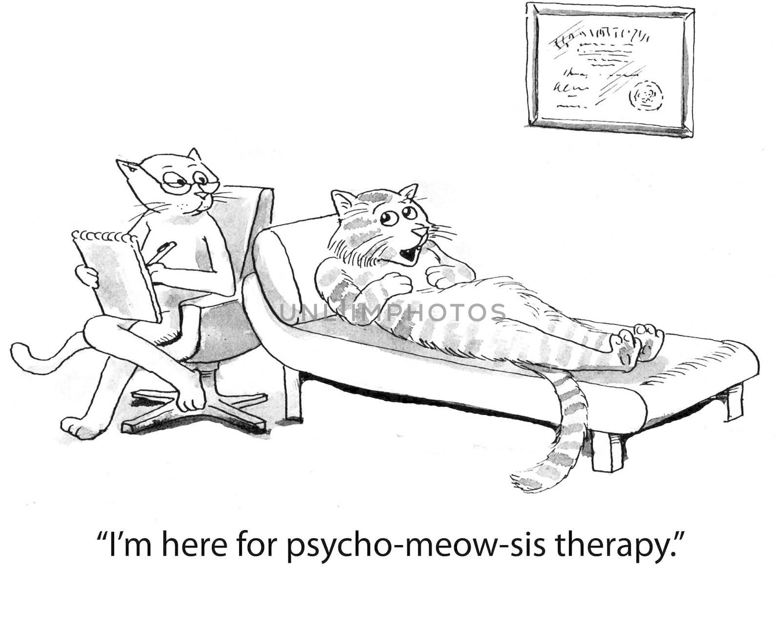 "I'm here for psycho-meow-sis therapy."