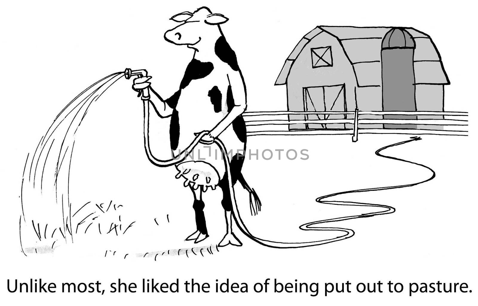 Unlike most, she liked the idea of being put out to pasture.
