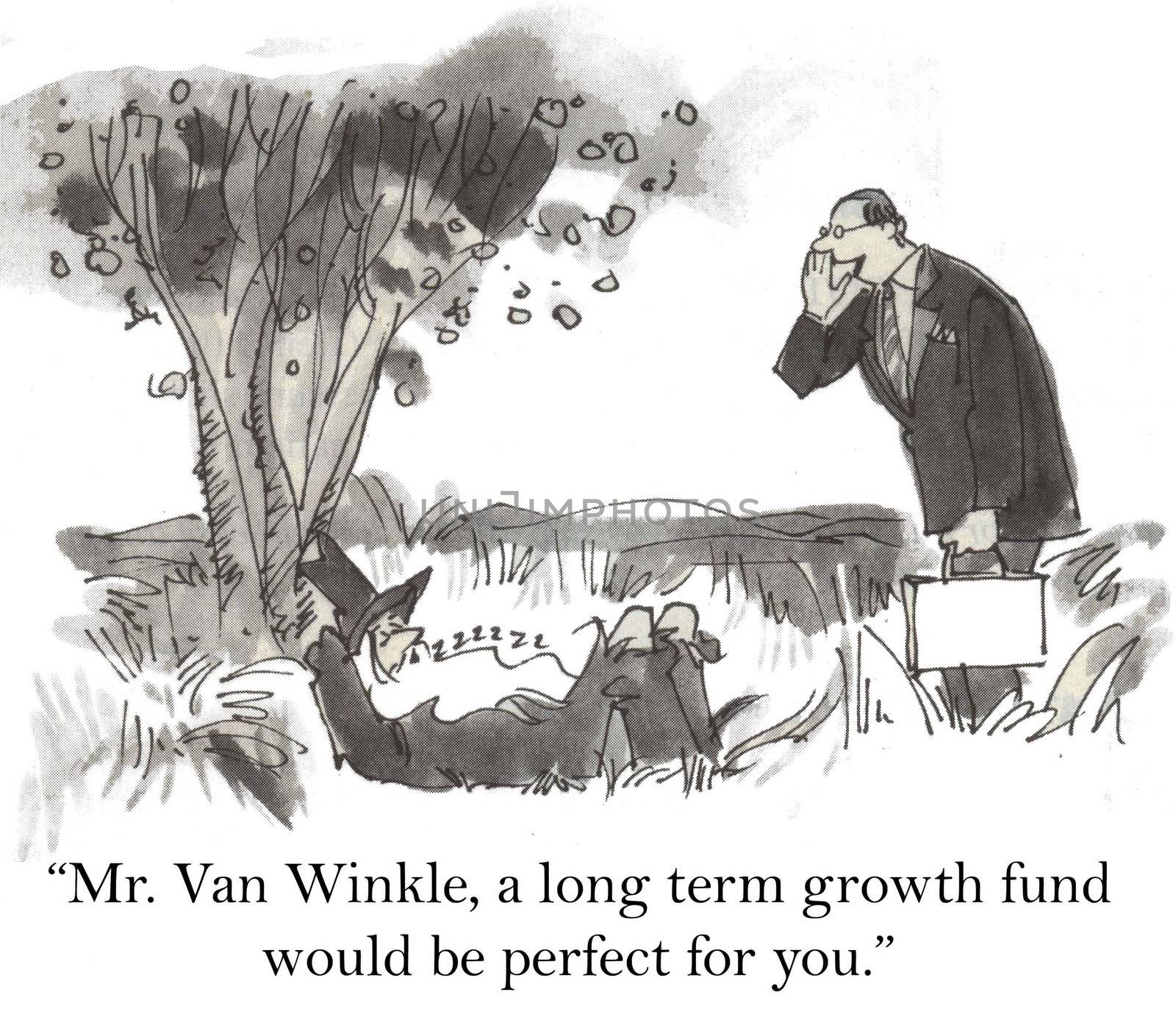 "Mr. Van Winkle, a long term growth fund would be perfect for you."