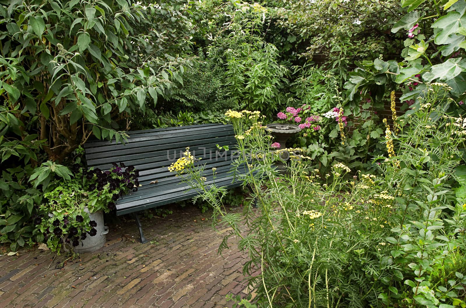Country-style garden with bench and lots of flowers in summer