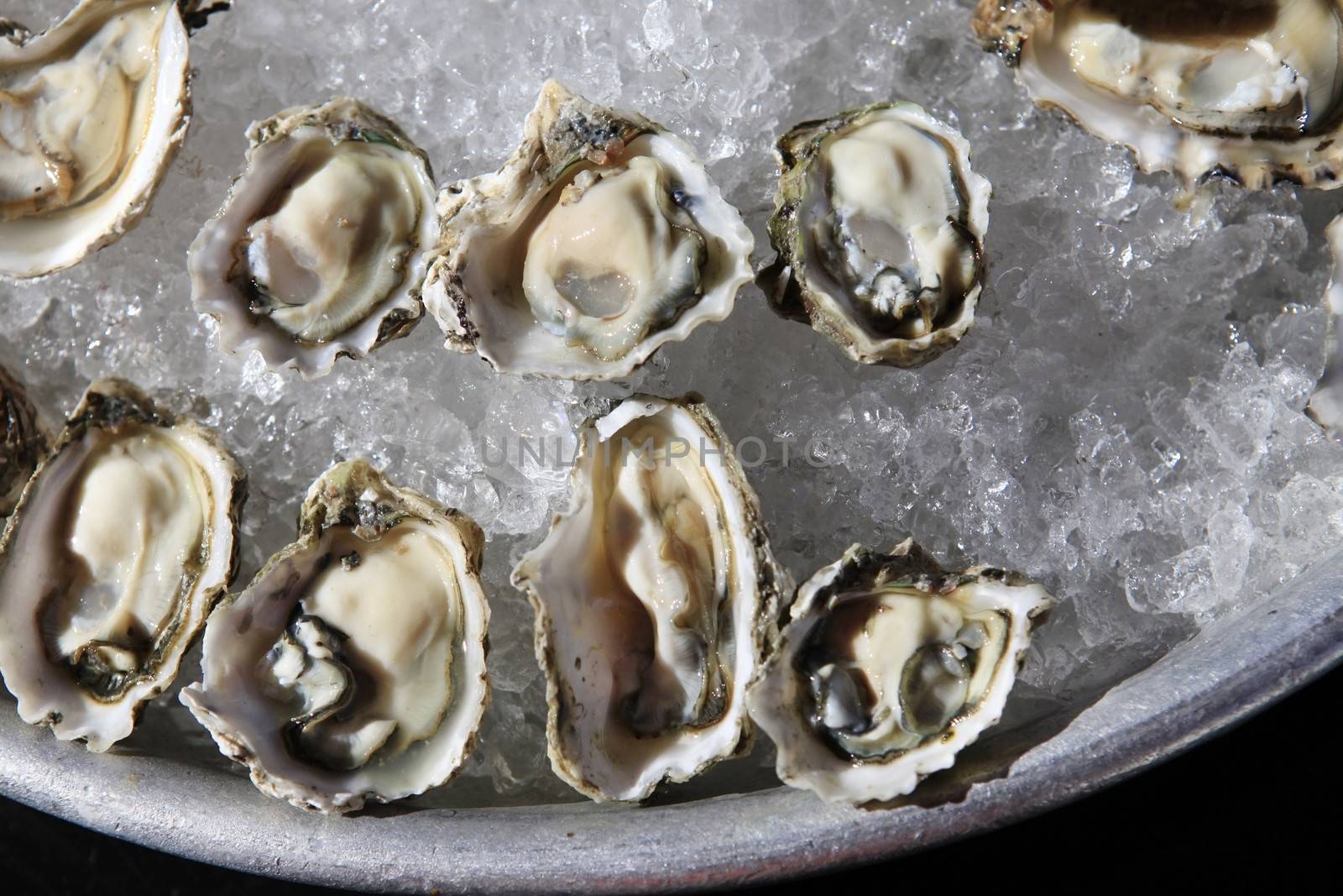 Opened oysters on ice 