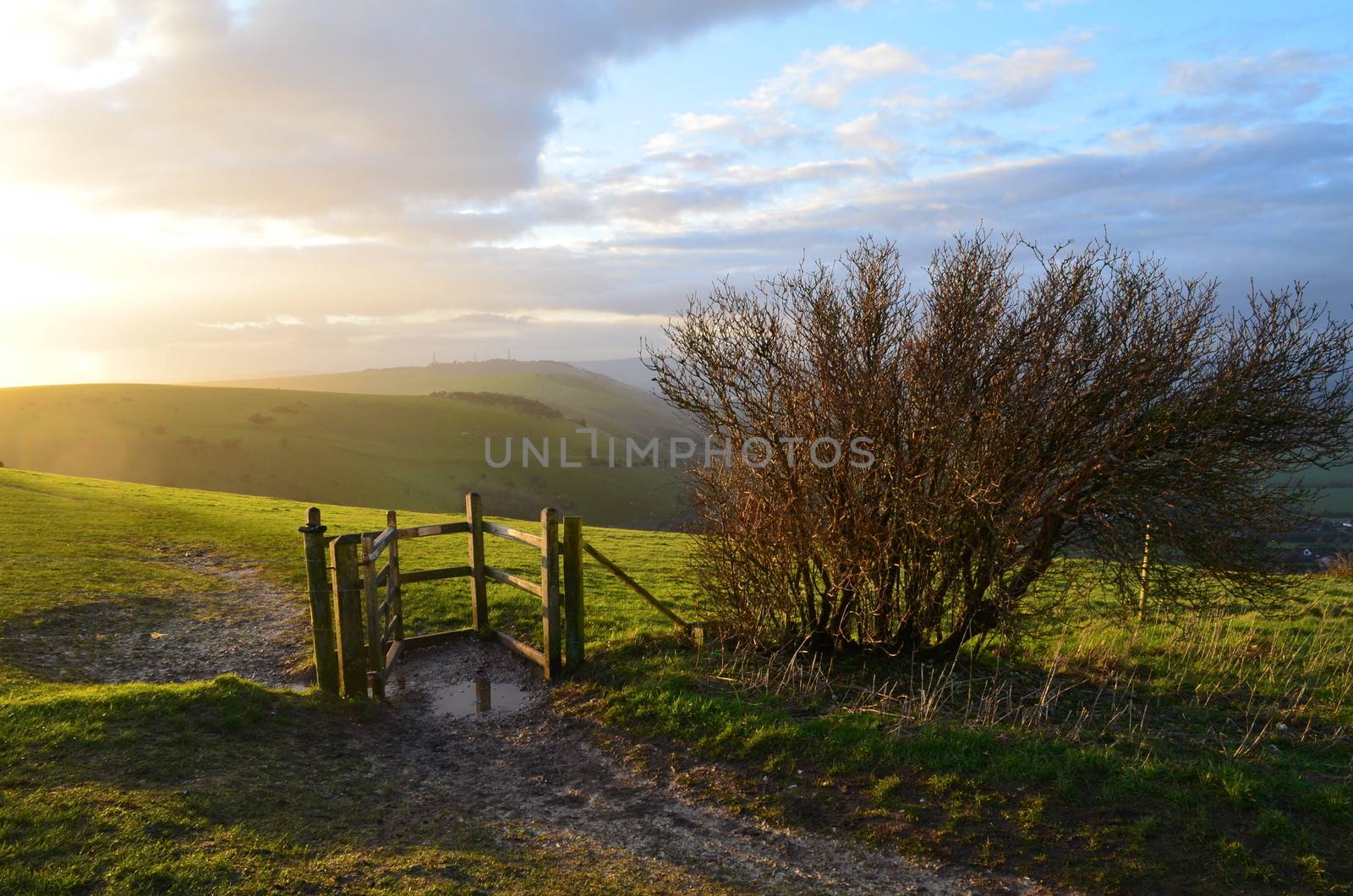 Countryside path with gate leading onto open rolling countryside in Sussex,England. Image taken at sunset at Devils Dyke.