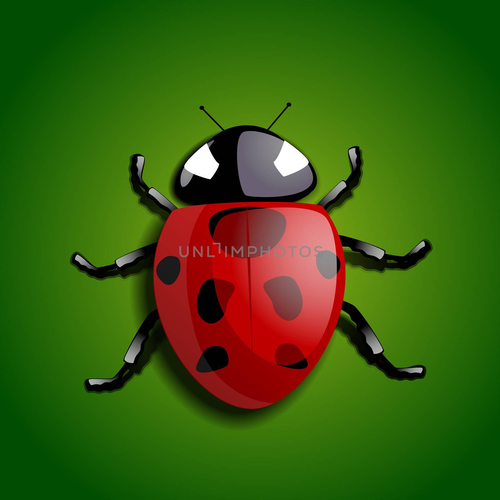 Realistic ladybug by cla78
