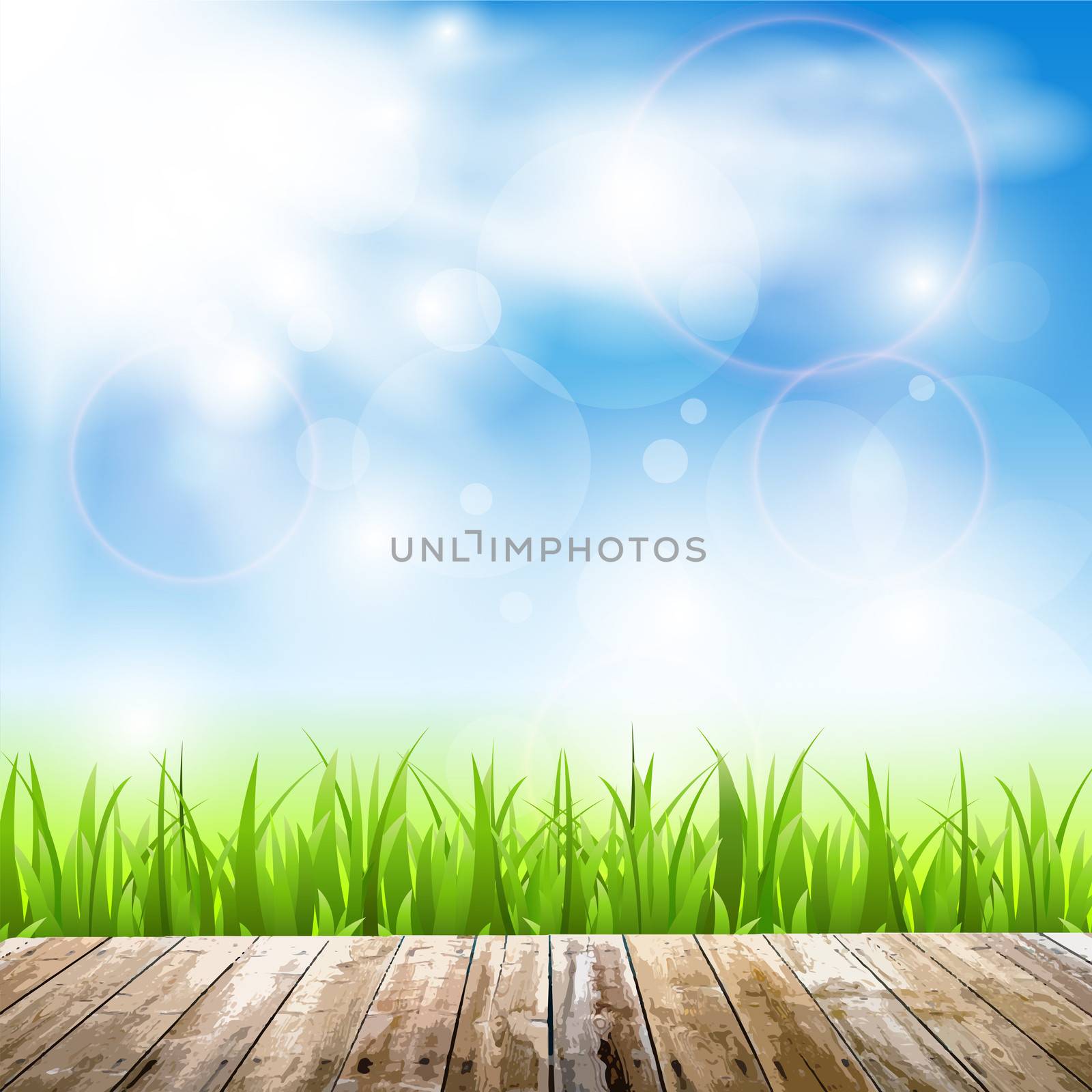 Background with wood, grass and sun in a blue sky