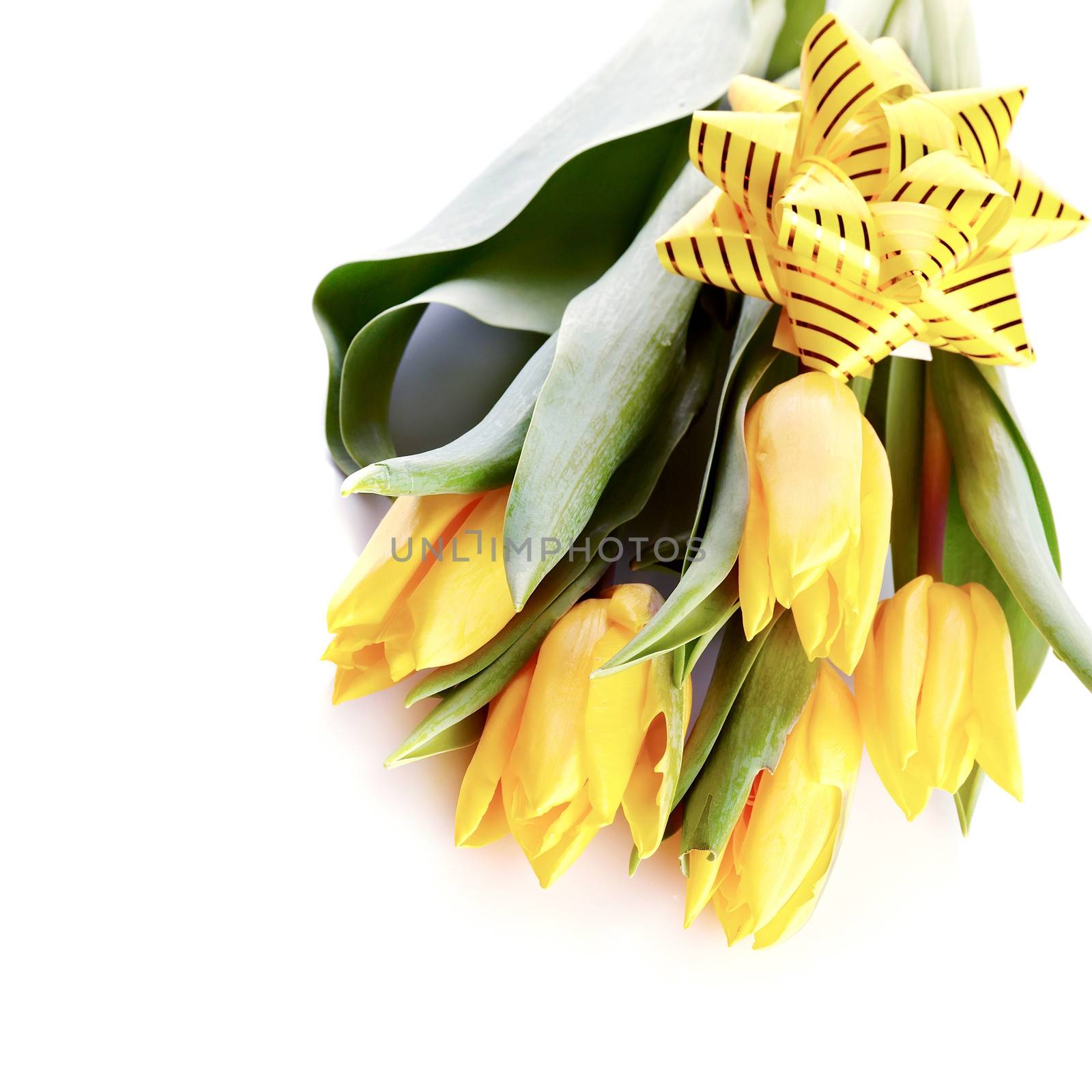 Bouquet of yellow tulips with a bow. by Azaliya