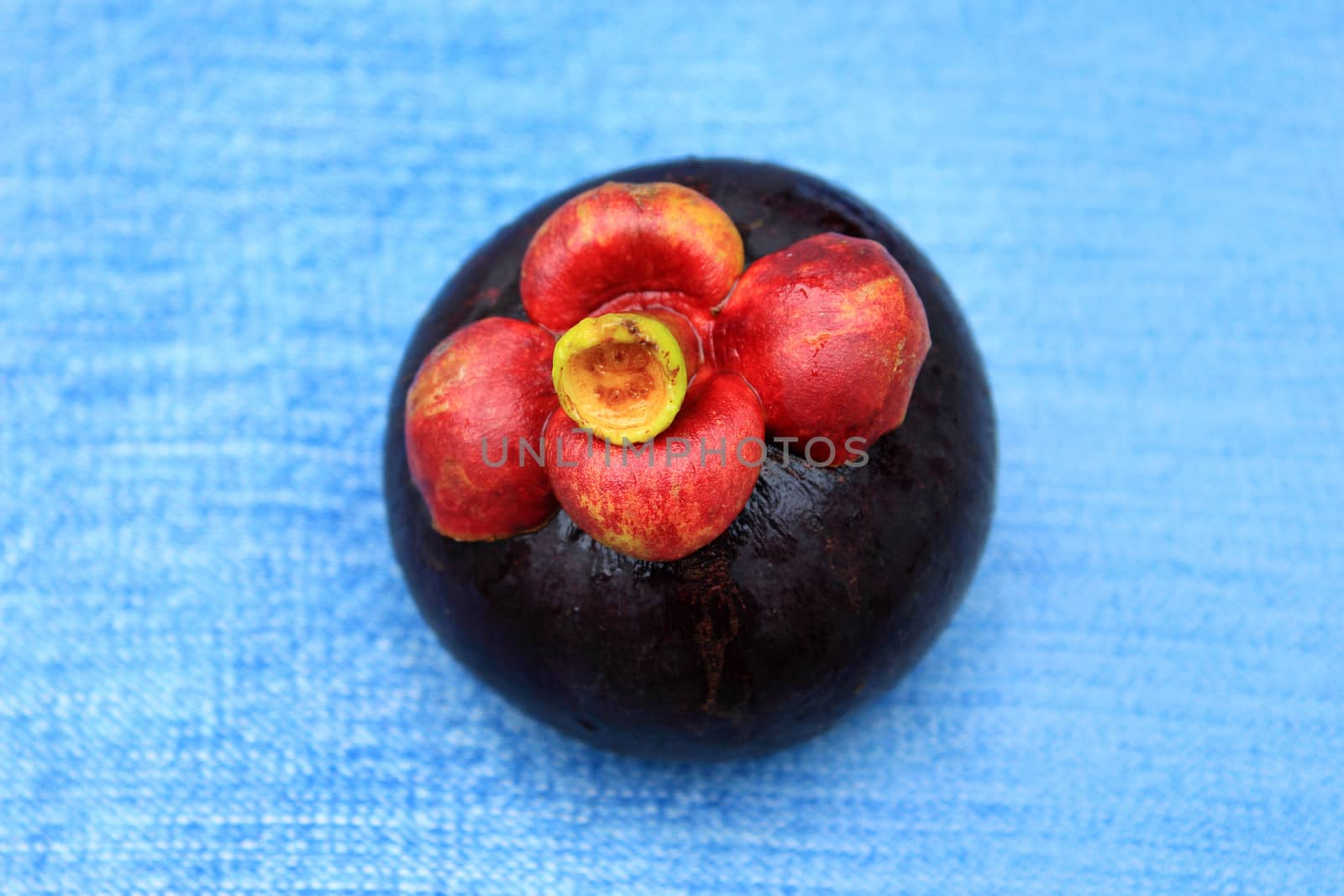 Fresh mangosteen fruit