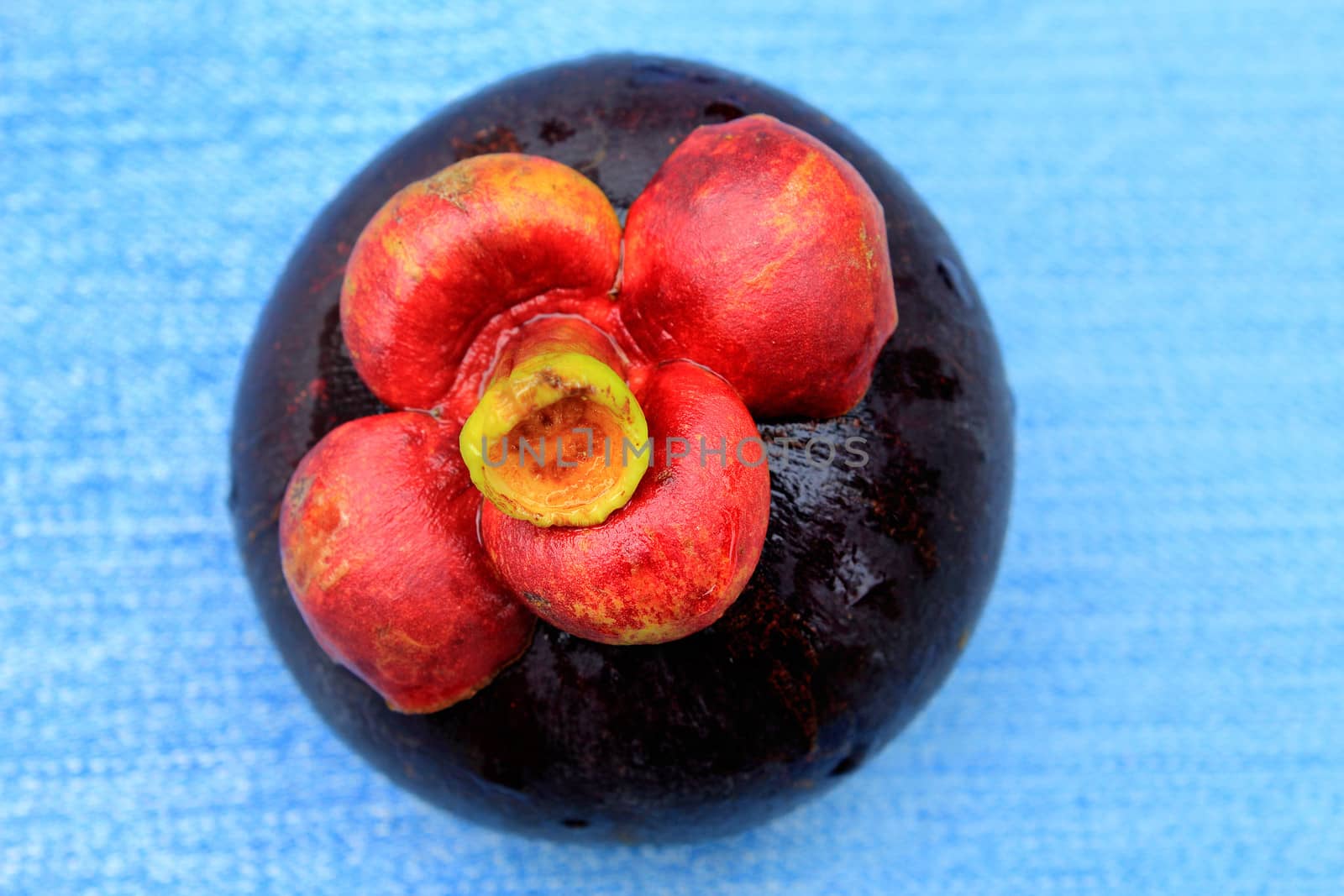 Fresh mangosteen fruit