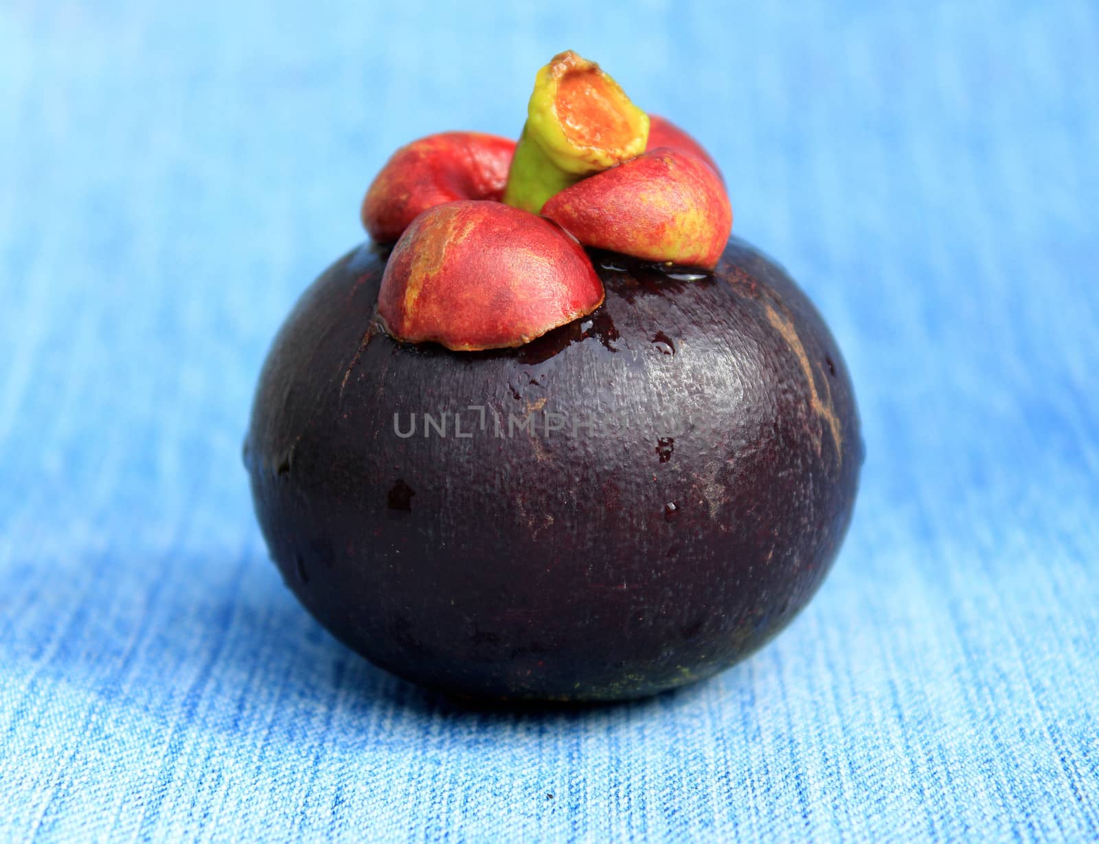 Fresh mangosteen fruit