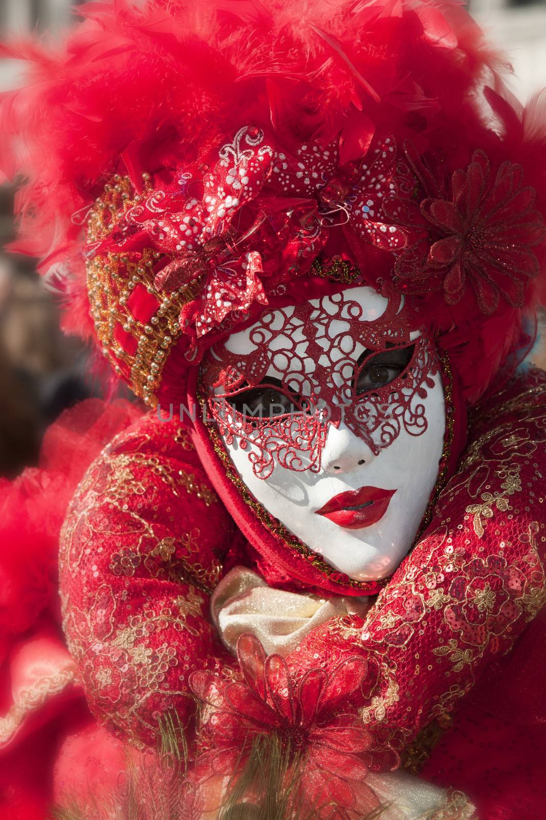 Venice carnival mask by cla78