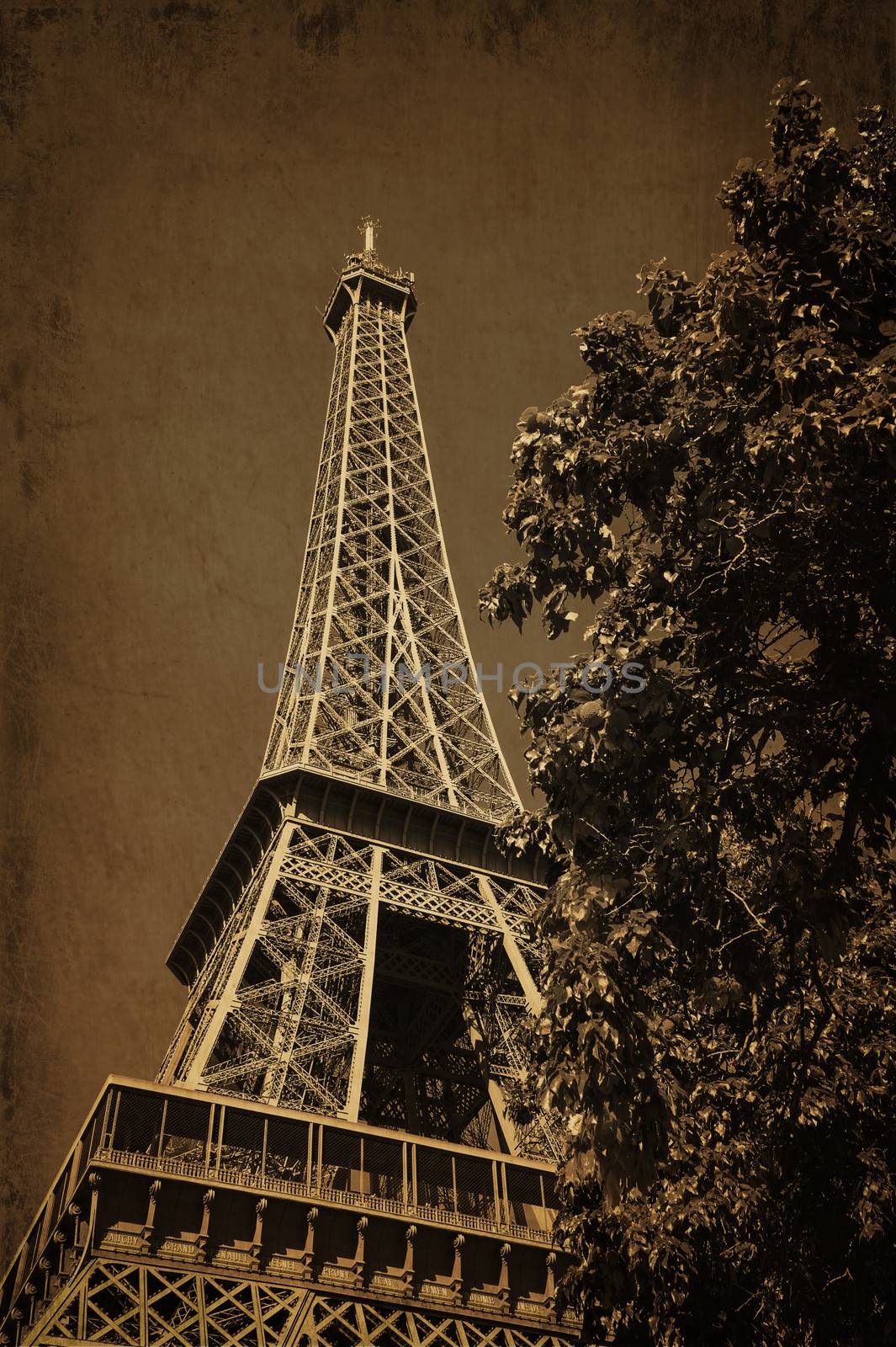 Sepia Tour Eiffel by cla78
