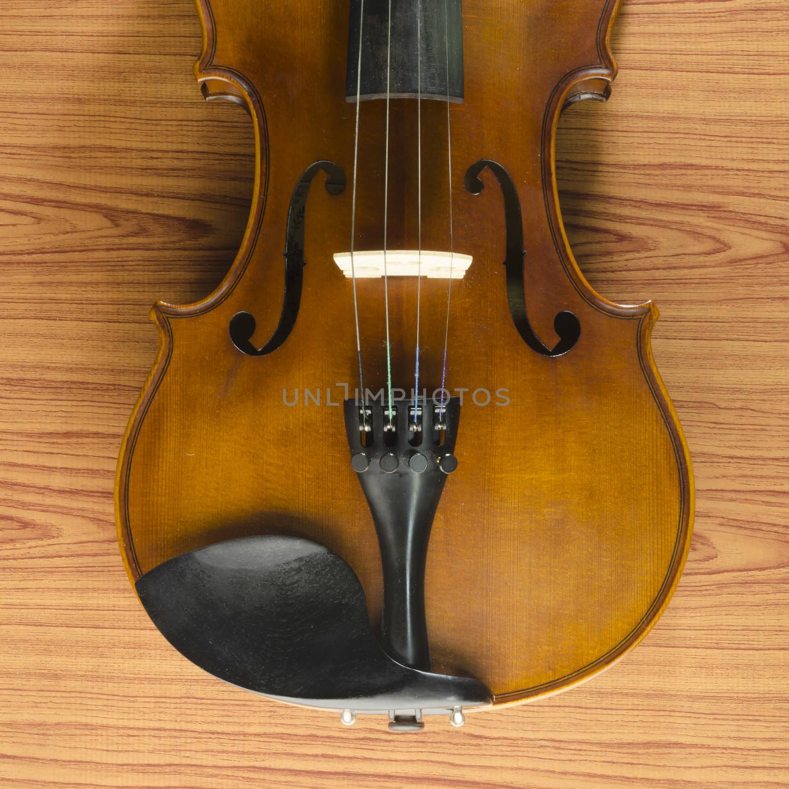 violin on wood background