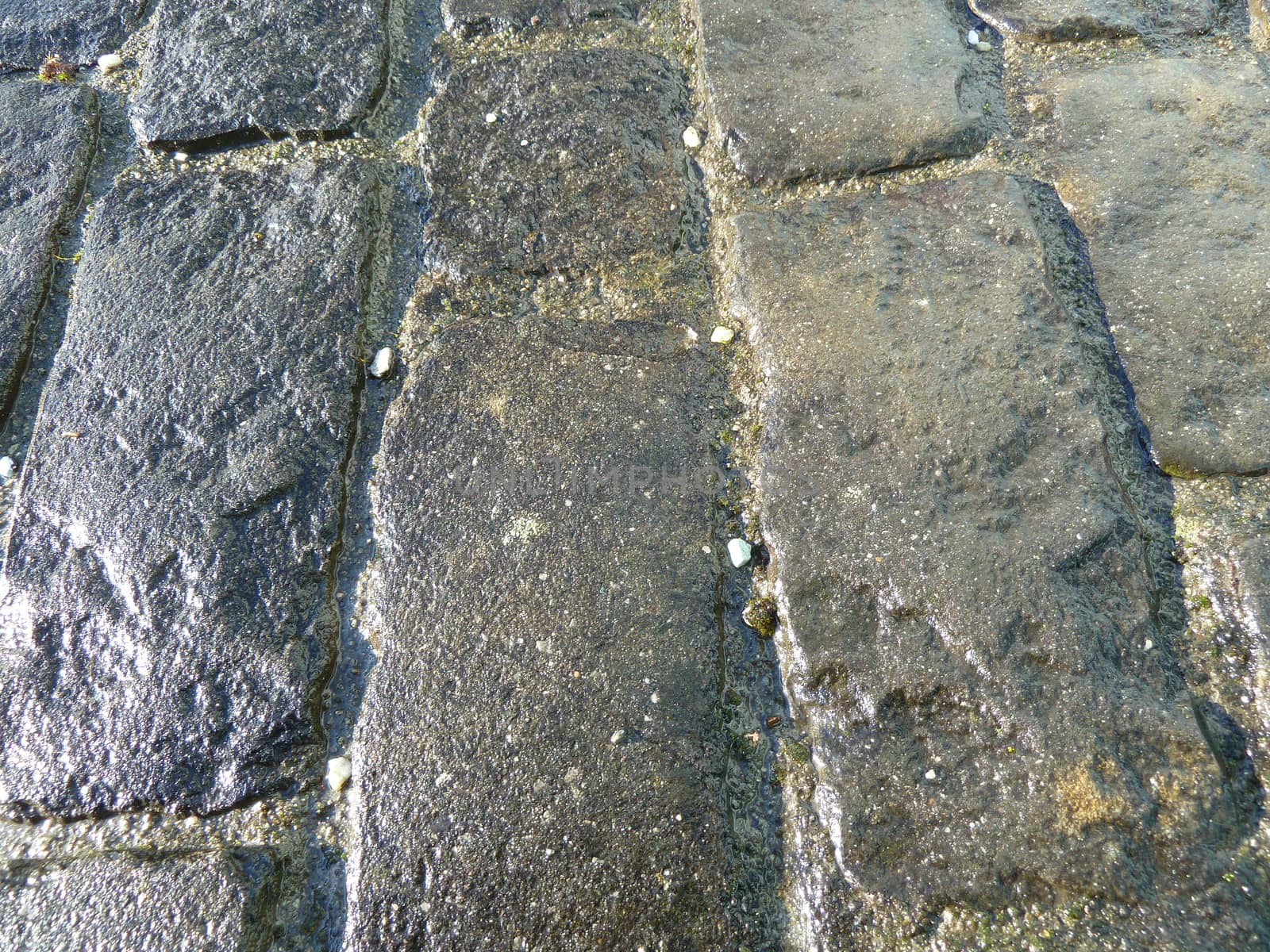 Wet dark grey paving blocks after a rain shower