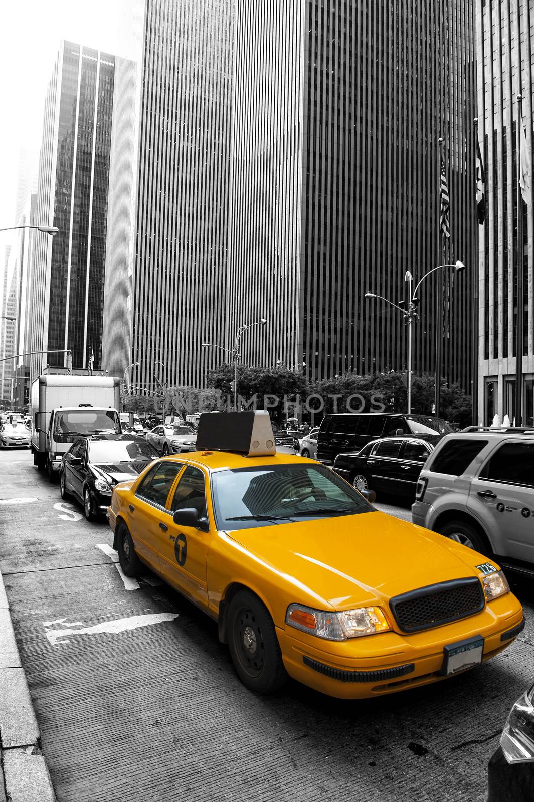 Yellow taxi in the black and white New York