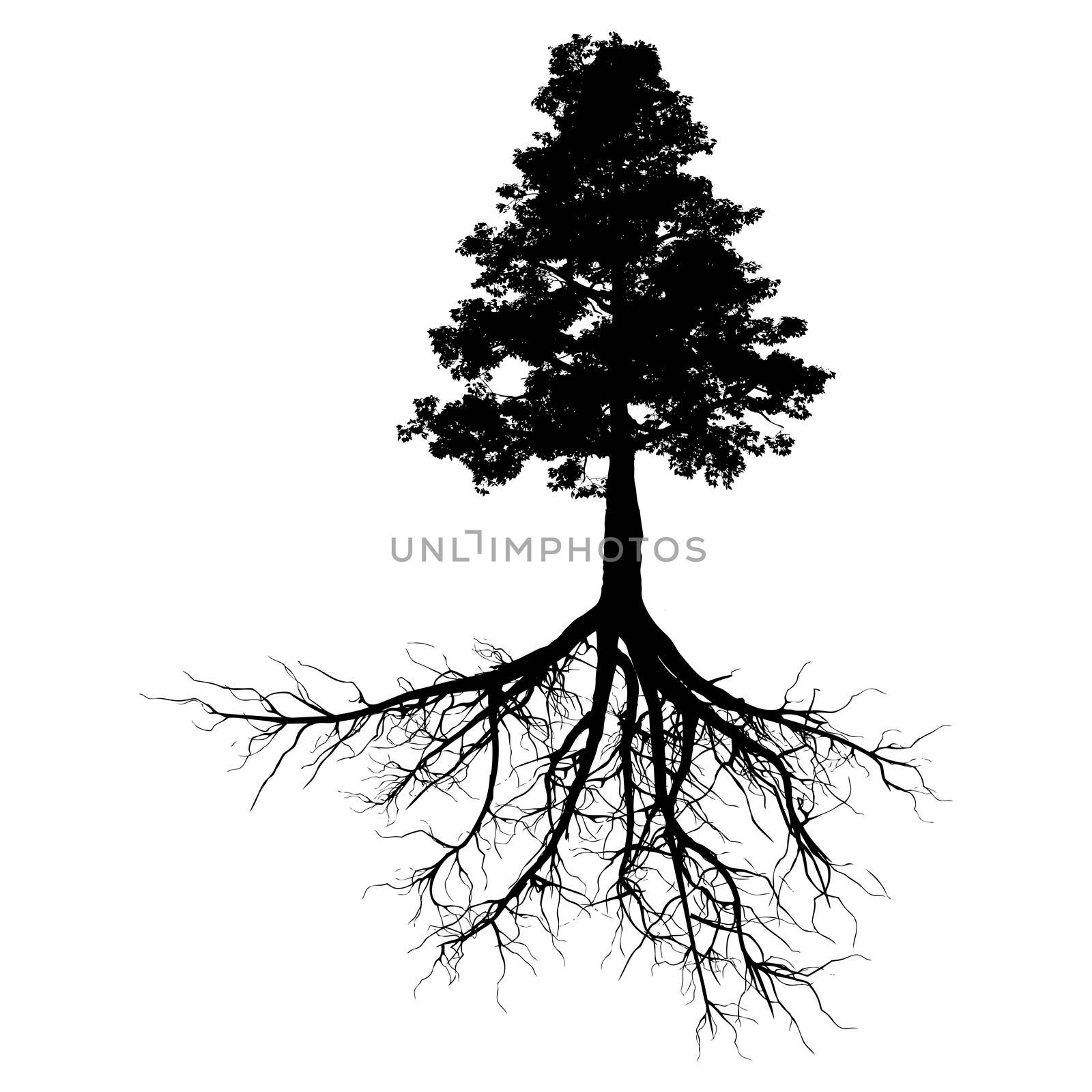 A black tree with roots isolated on a white background