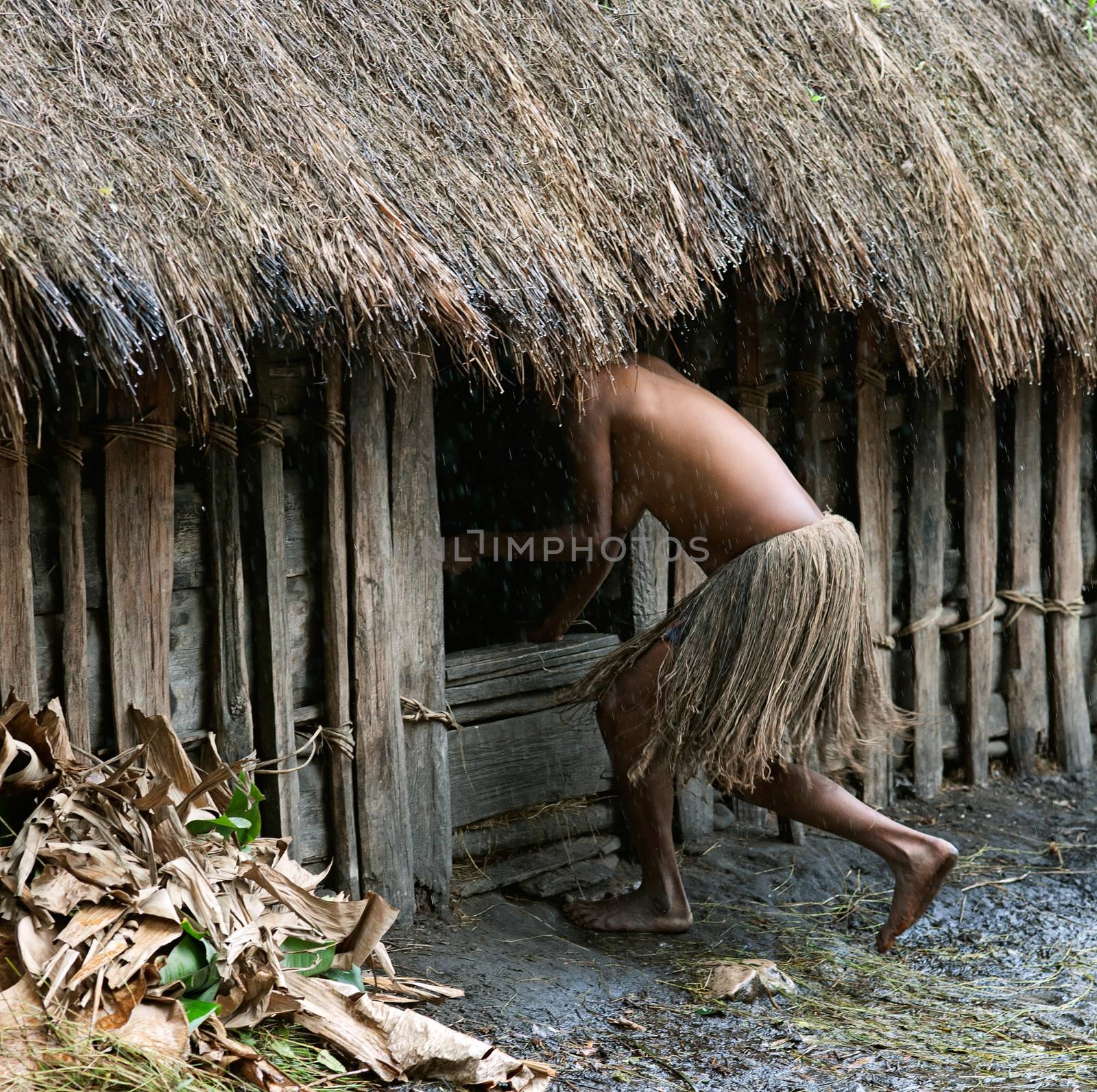 WAMENA, PAPUA, INDONESIA - JUNE, 20: The woman in a traditional skirt hides in a hut. Traditional huts Papuans.  June, 20, 2012 near Wamena, Papua, Indonesia. 