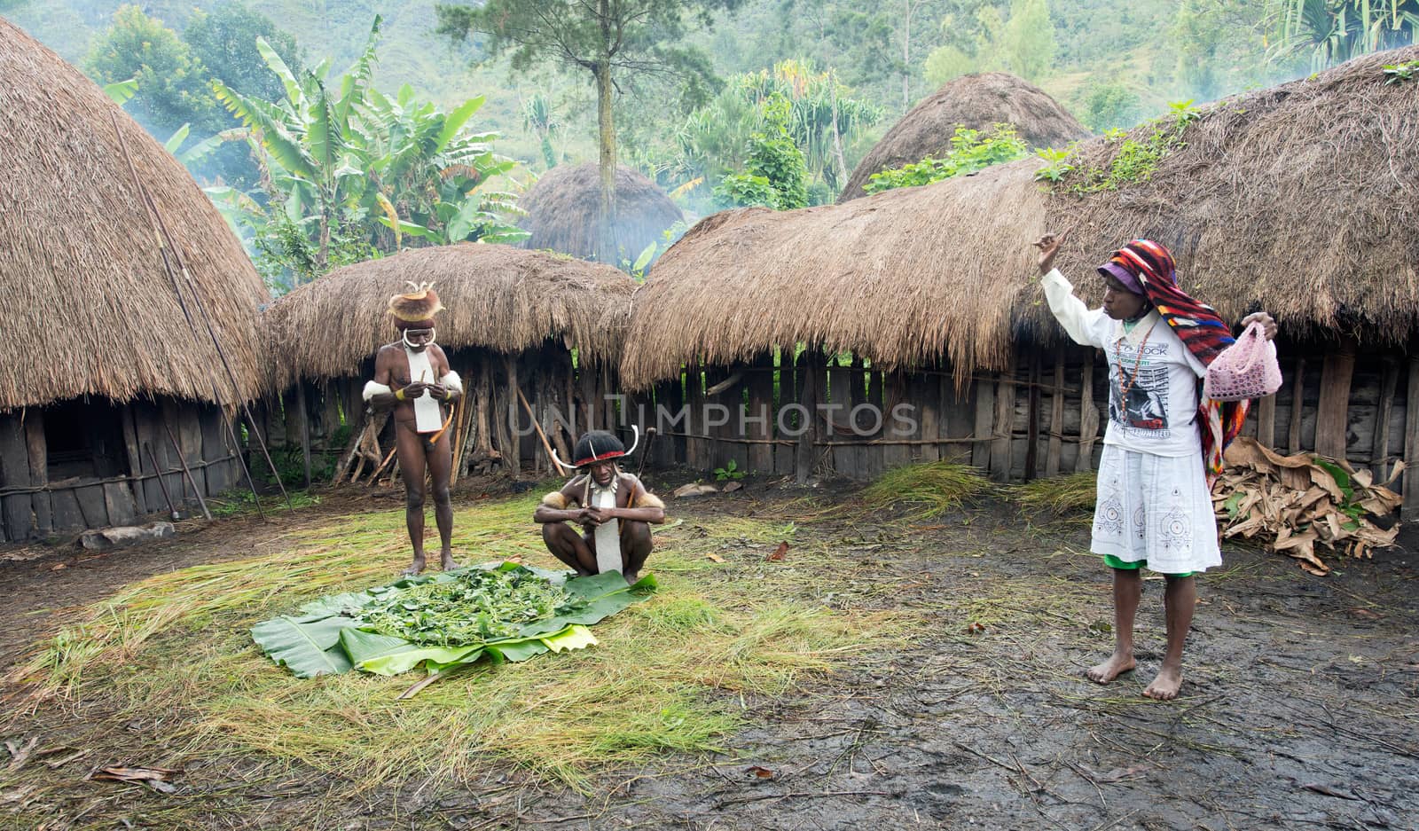 WAMENA, PAPUA, INDONESIA - JUNE, 20: Papuan woman in the modern white clothes swears in the middle of the Dani Village. Traditional huts Papuans .  June, 20, 2012 Wamena, Papua, Indonesia. 