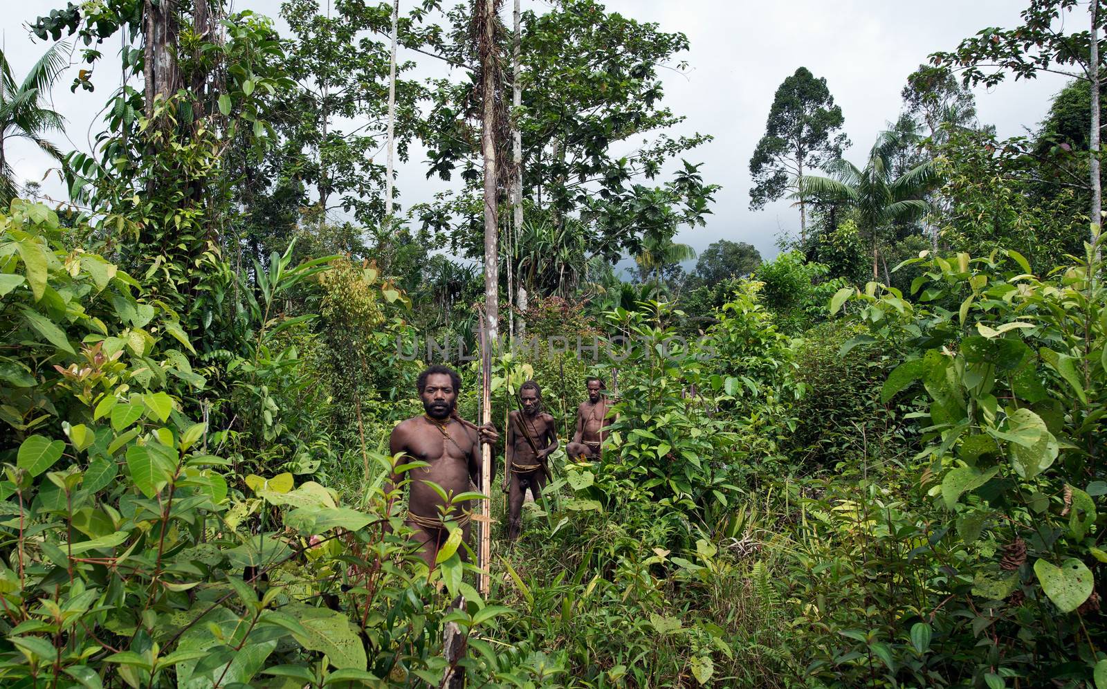 ONNI VILLAGE, NEW GUINEA, INDONESIA - JUNE 24: The group Portrait Korowai people on the natural green forest background.On June 24, 2012 in Onni Village, New Guinea, Indonesia