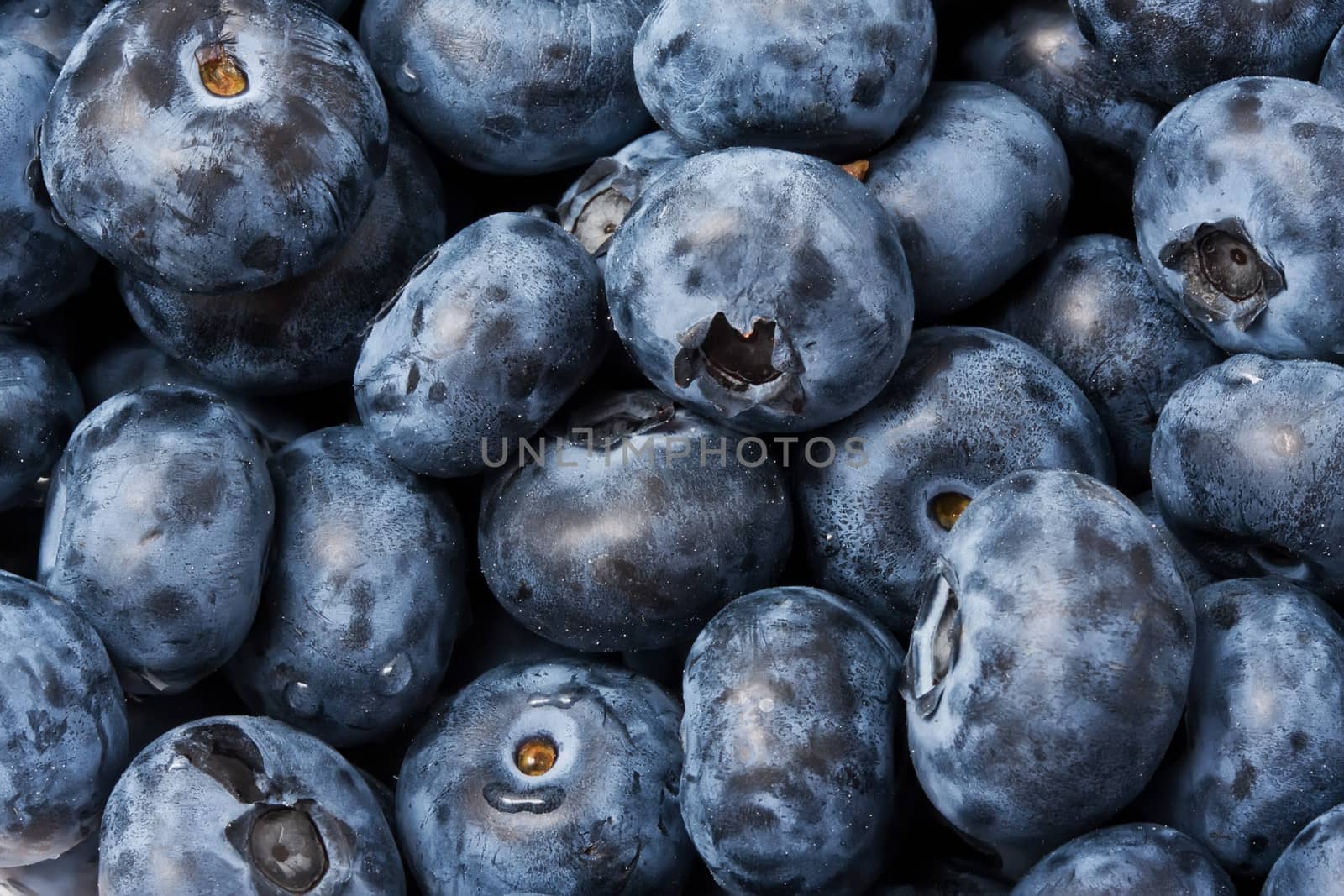 Beautiful organic background made of freshly picked blueberries