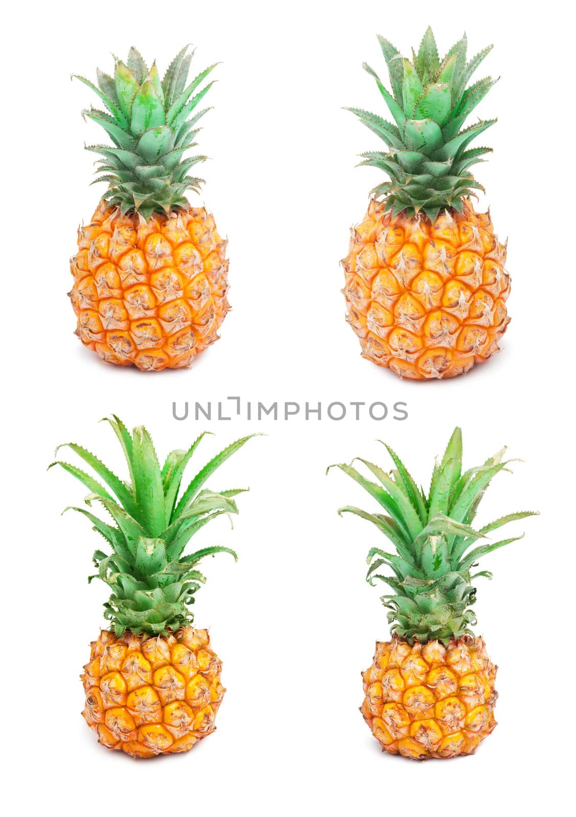 Pineapple by sailorr