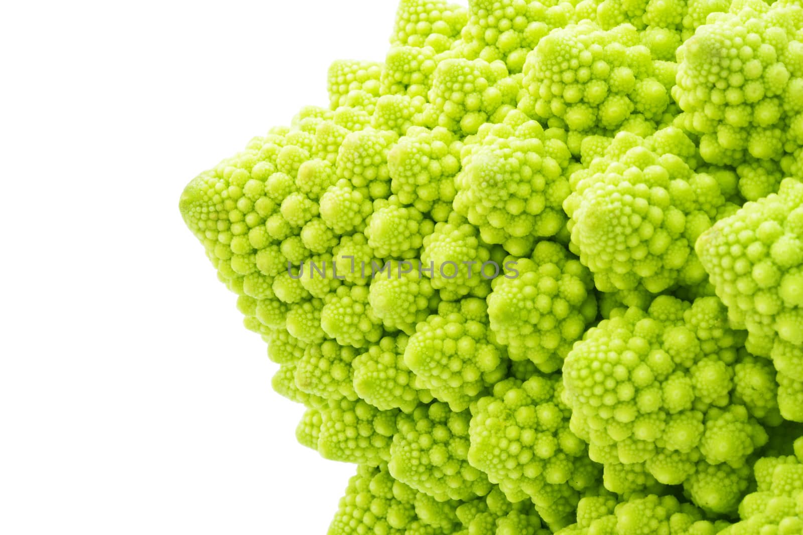 Green Romanesco broccoli isolated on white background