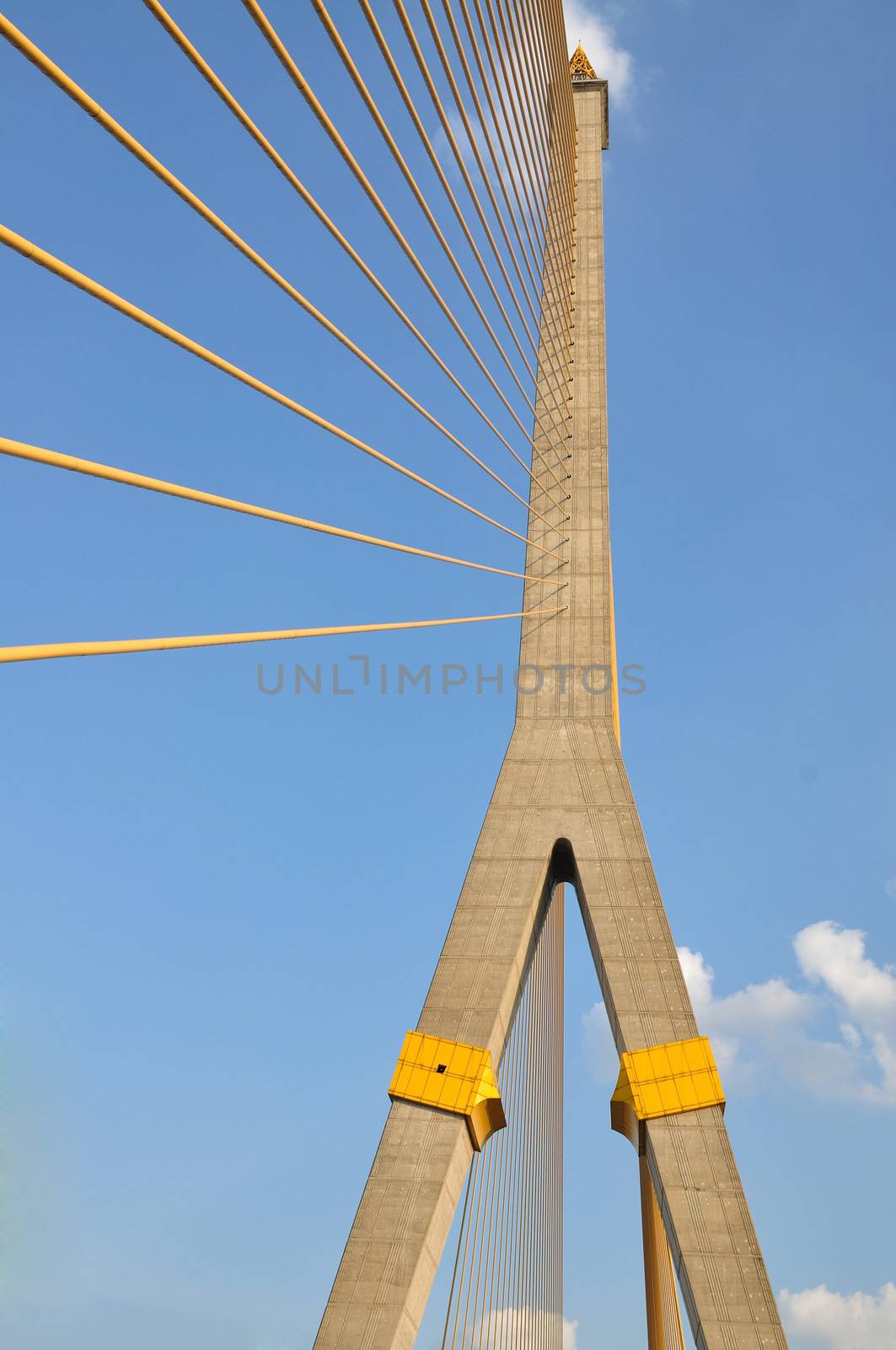 Rope bridge and cable sling of bridge