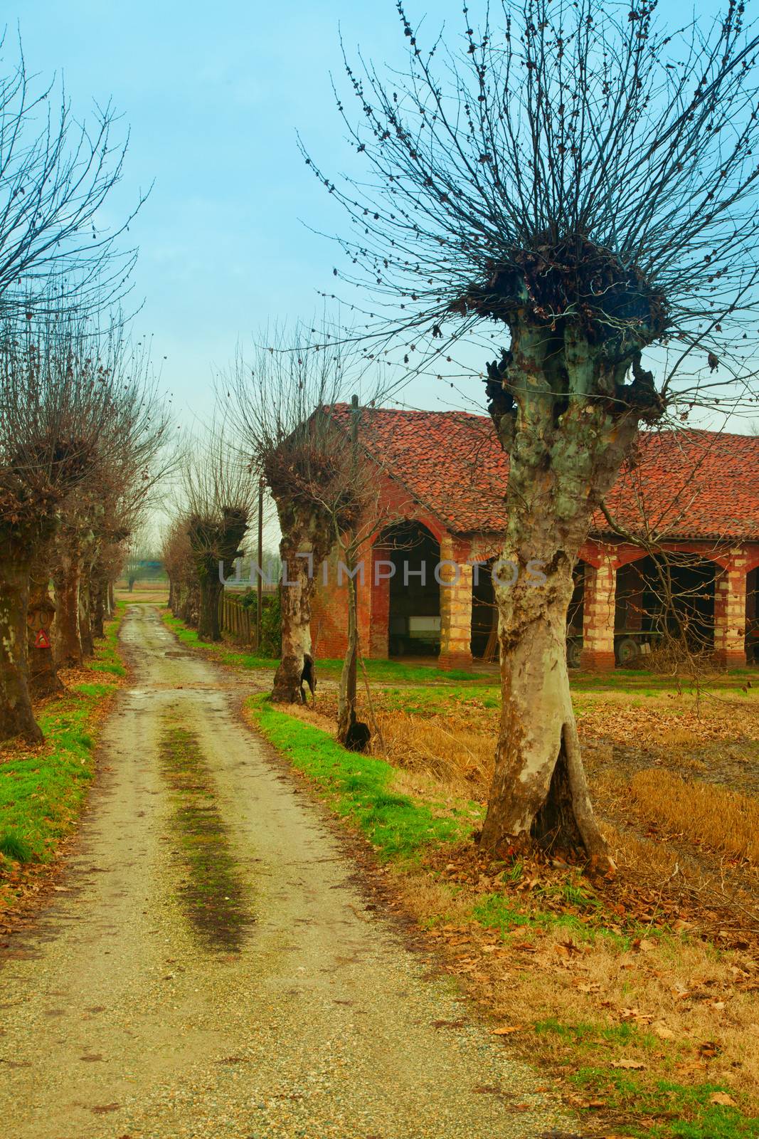 Road in the fields costing a farmhouse