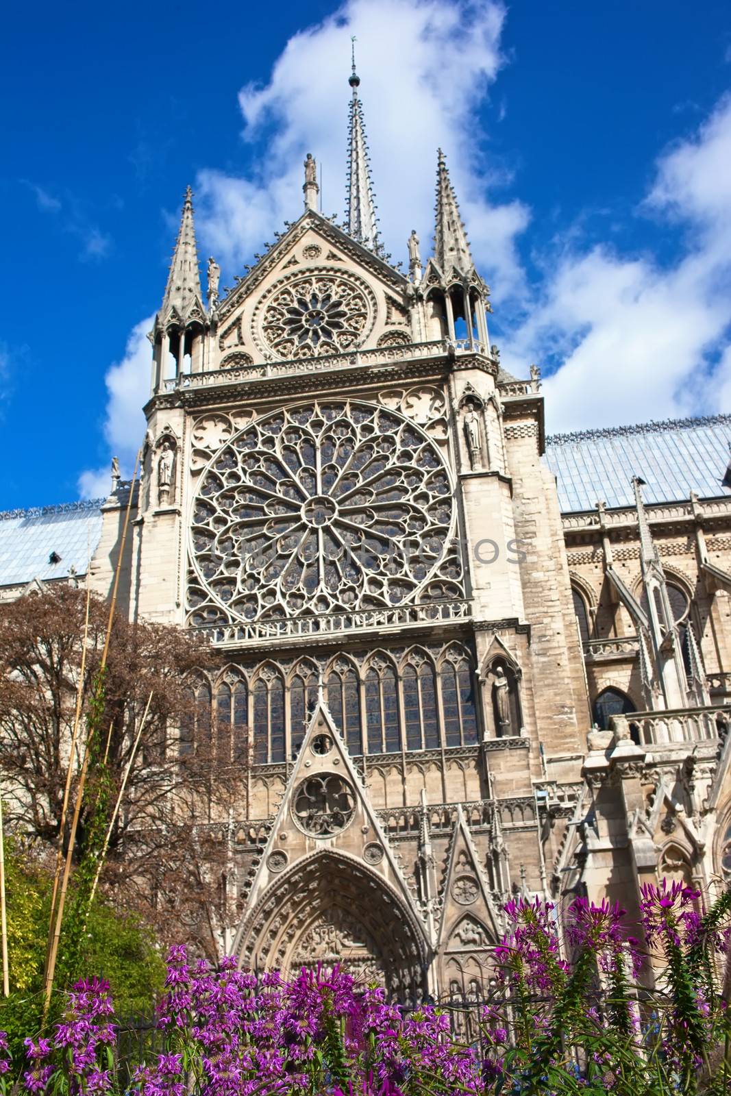 Notre Dame de Paris, famous cathedral in France