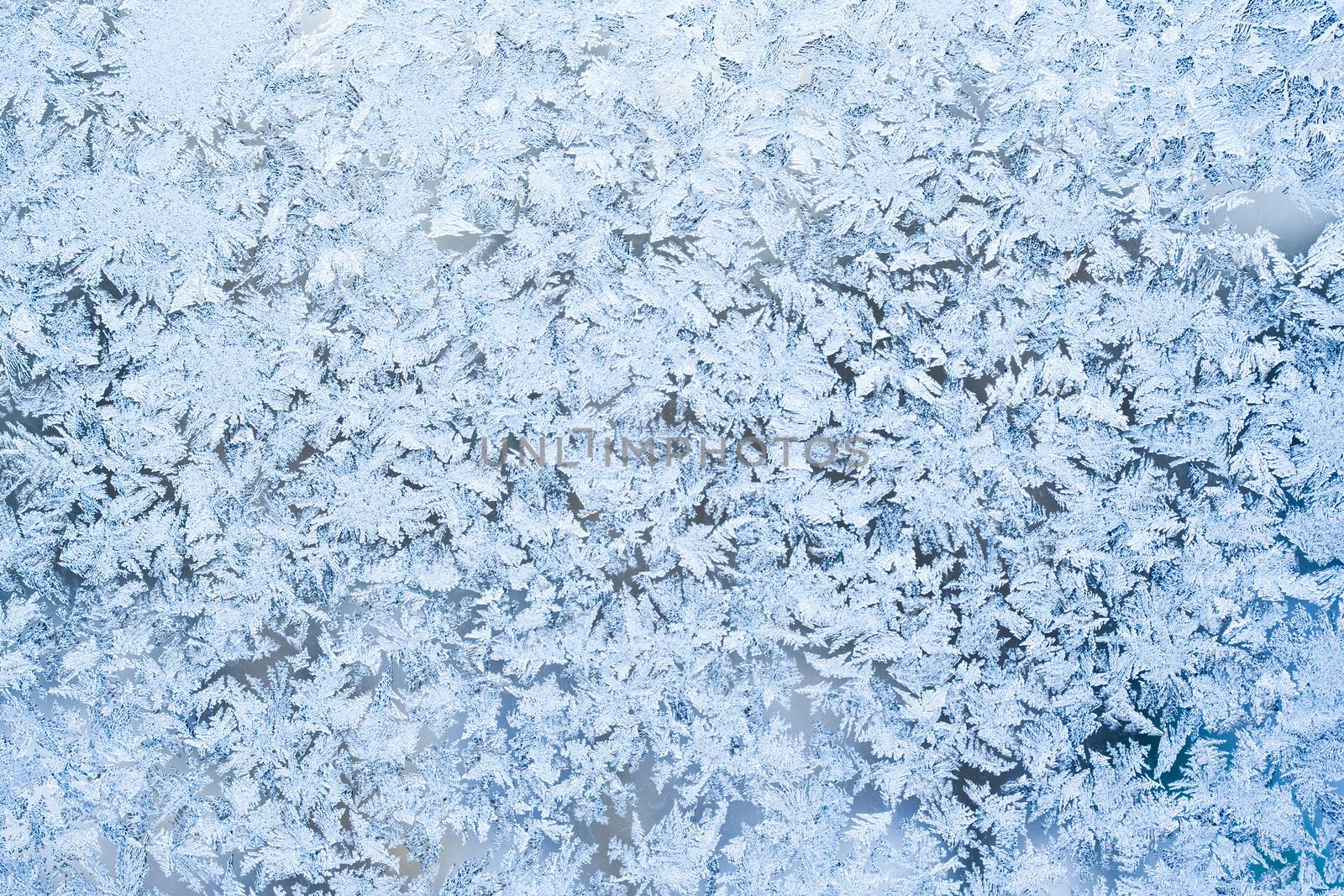 Beautiful pattern of frost on  winter window