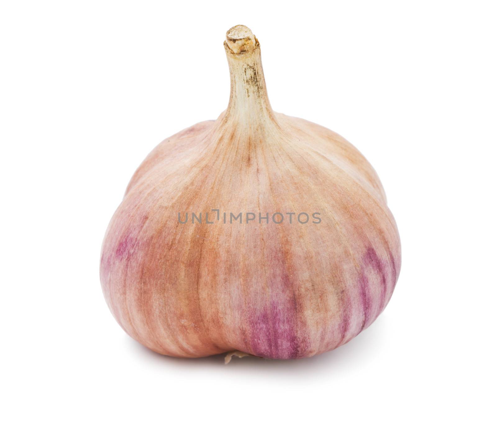 Fresh young garlic isolated on white background